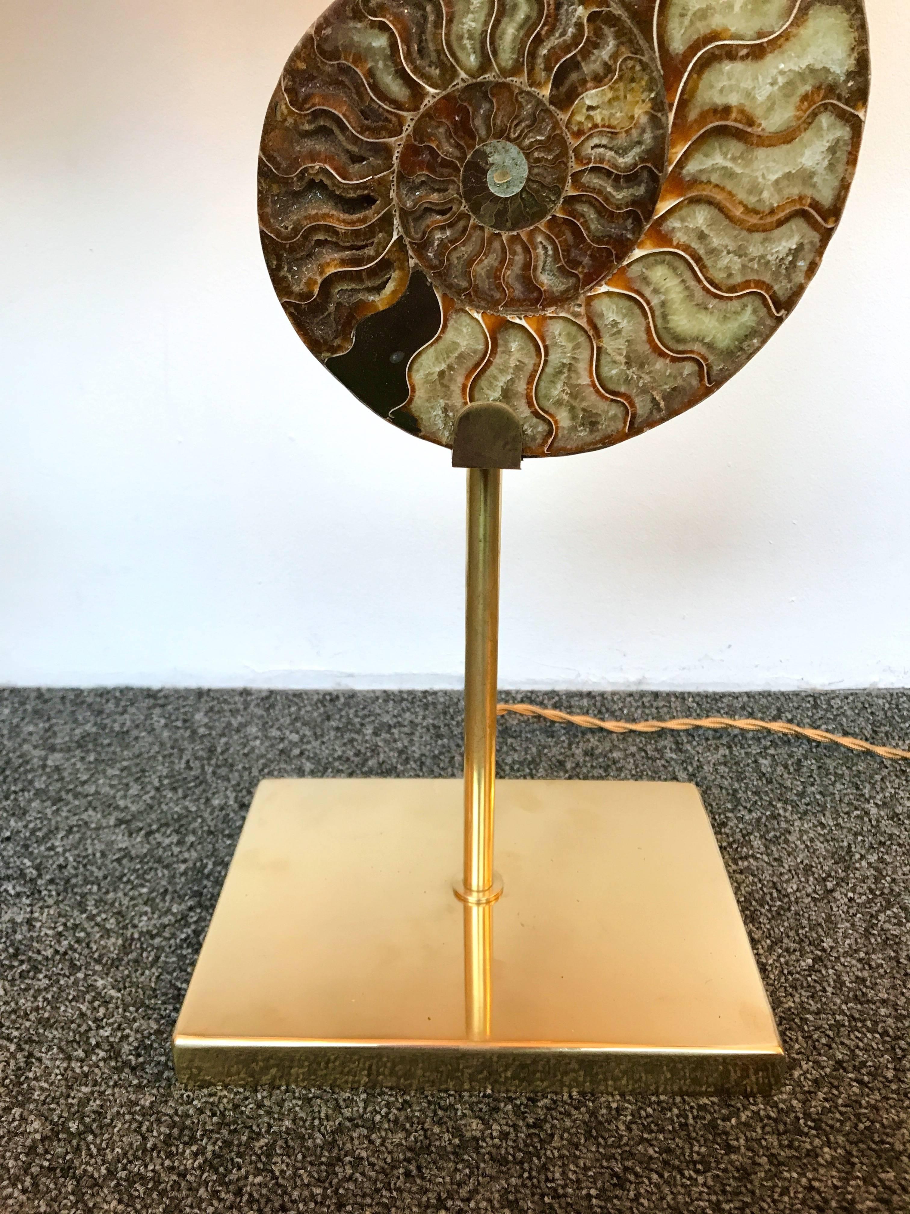 Pair of table lamps contemporary brass mounting structure with very nice pair of ammonite fossil, In the manner of the 1970s work with amethyst or rock crystal natural stone, Maison Charles, Claude de Muzac, Hollywood Regency. In the spirit of