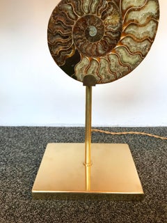 Pair of Lamps Brass Ammonite Fossil, Contemporary, Italy