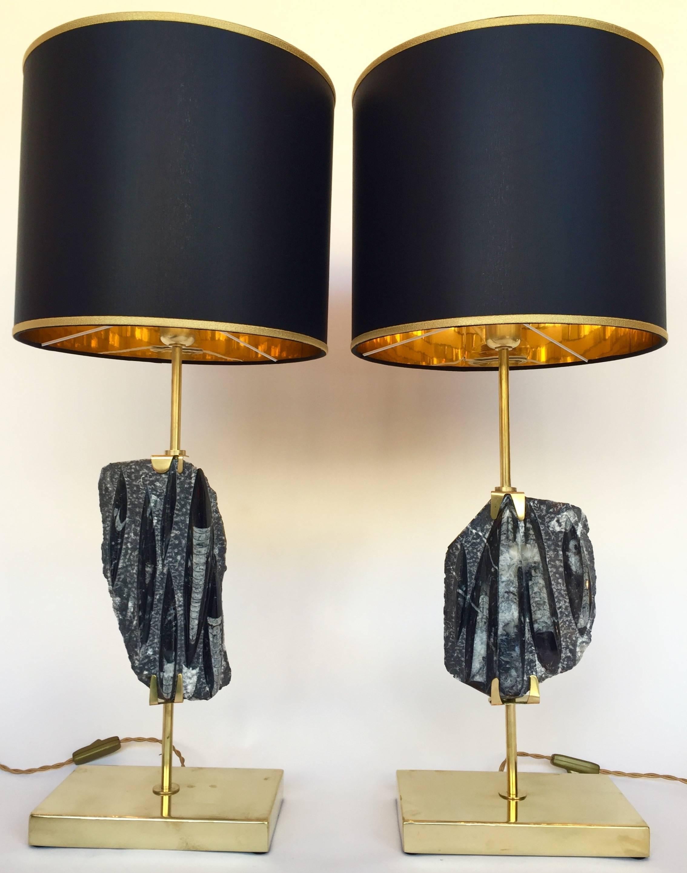 Pair of Lamps Orthoceras Fossil and Brass. Contemporary. Italy. 2016 4