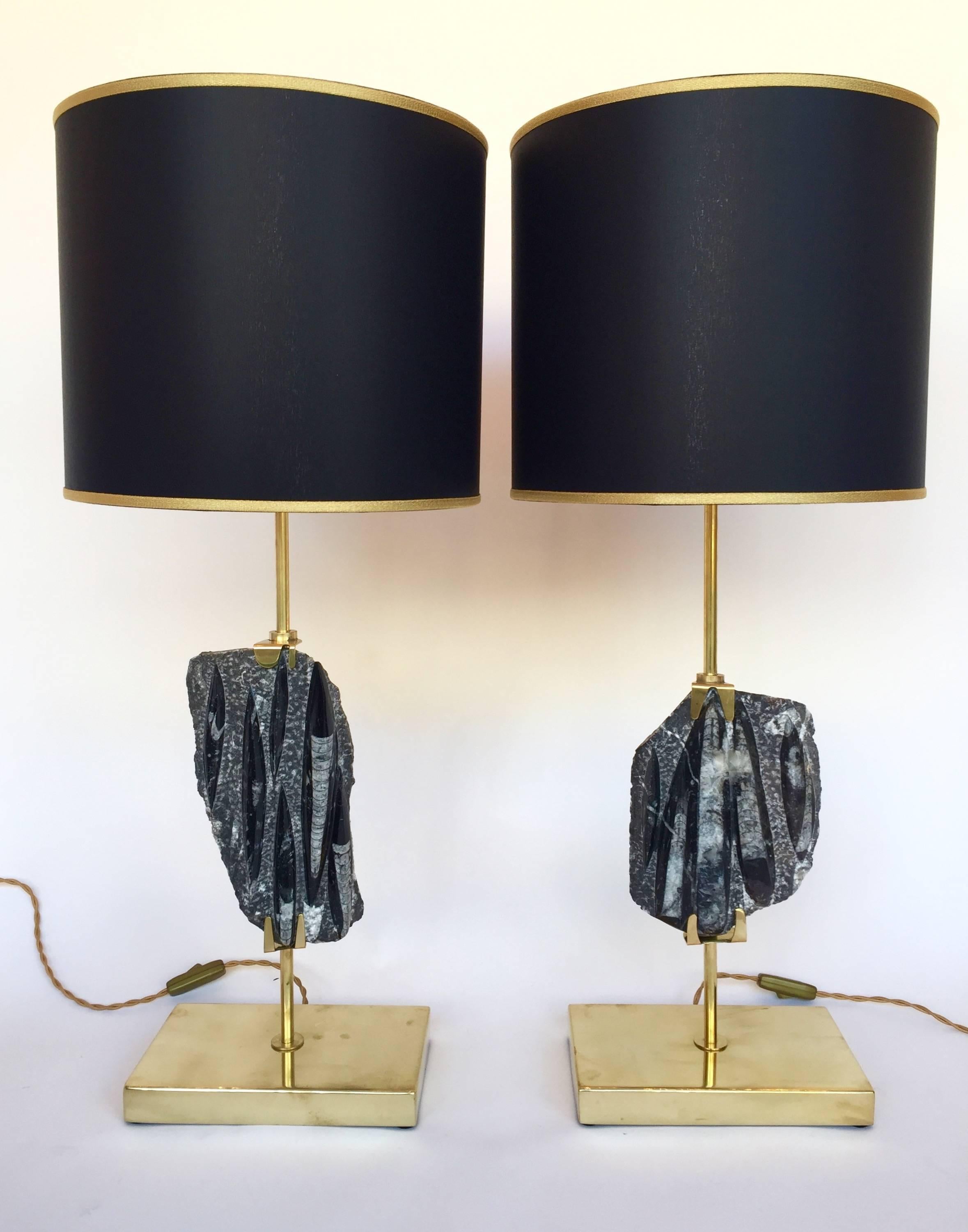 Mid-Century Modern Pair of Lamps Orthoceras Fossil and Brass. Contemporary. Italy. 2016