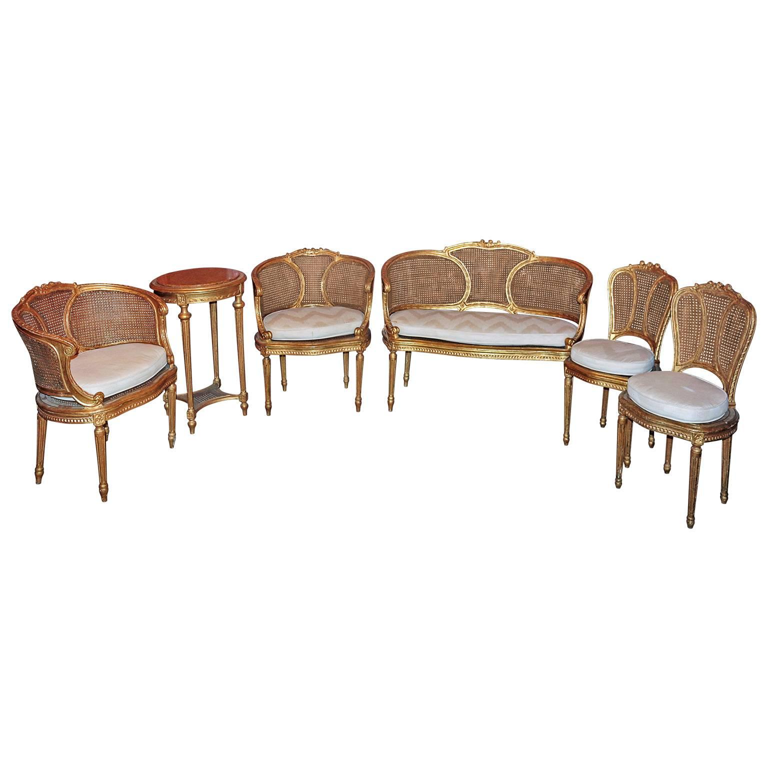 Set of Six 19th Century Carved French Salon Suite with Gilt Wood