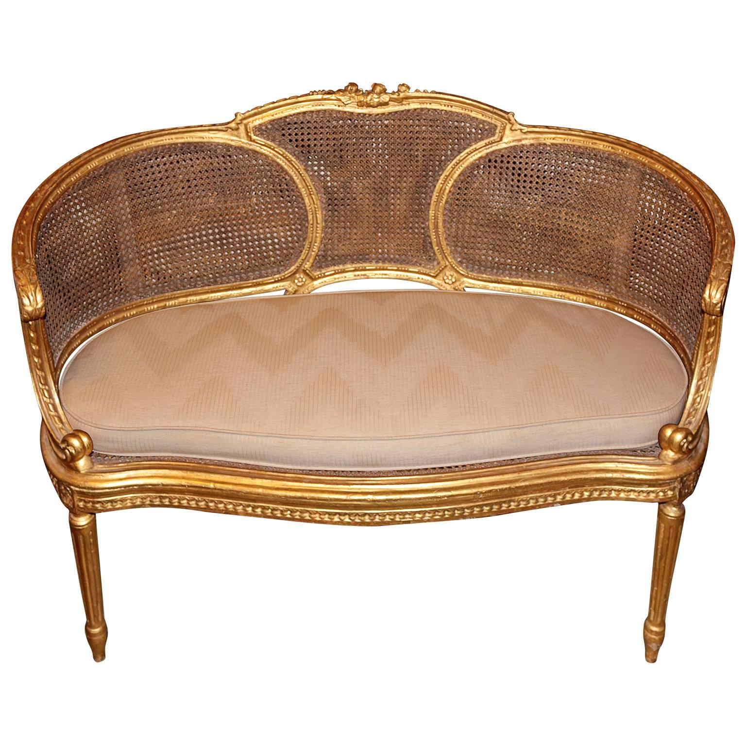 Cane Set of Six 19th Century Carved French Salon Suite with Gilt Wood