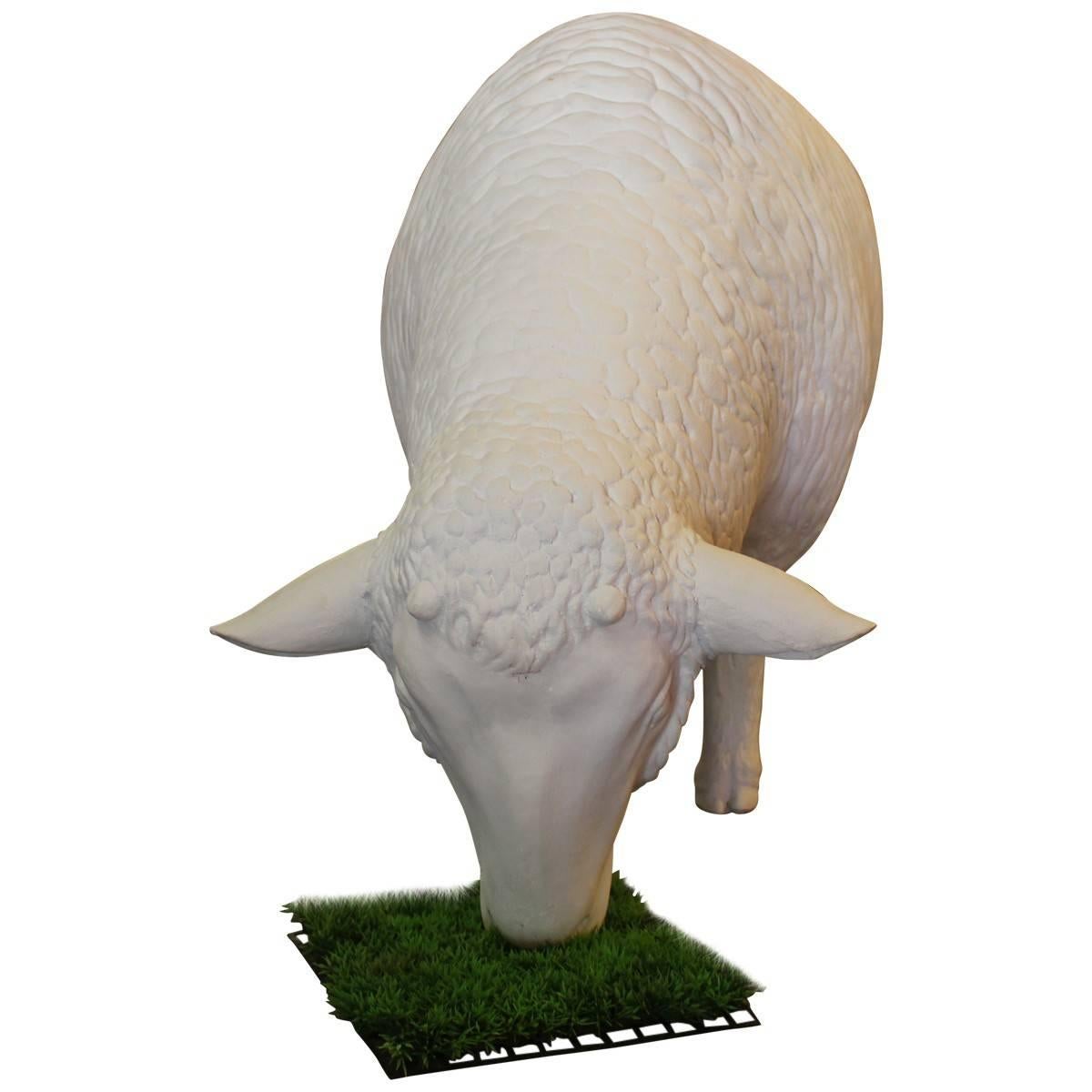 This decorative life-sized sheep is crafted from white painted fiberglass. The details are amazing with its true to life form.