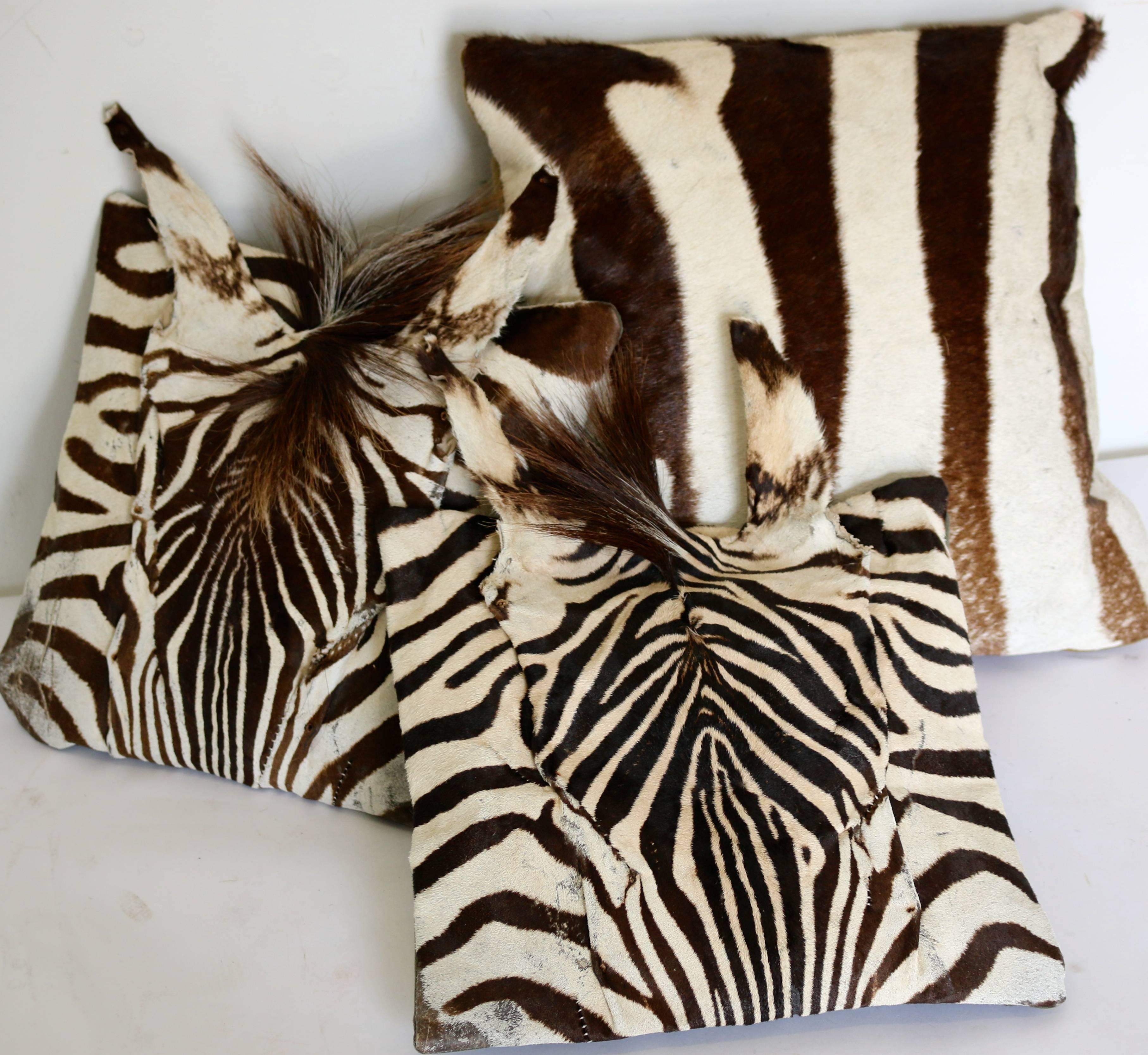 20th Century Set of Three Authentic Zebra Skin Pillows