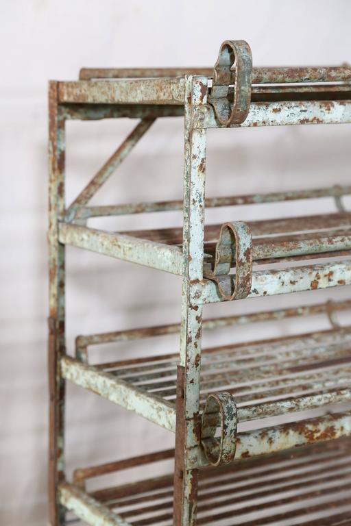 Iron Fruit Drying Rack at 1stDibs