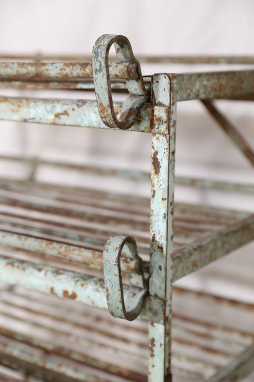Iron Fruit Drying Rack at 1stDibs
