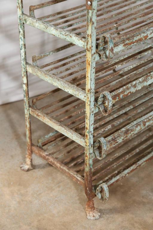 Iron Fruit Drying Rack at 1stDibs