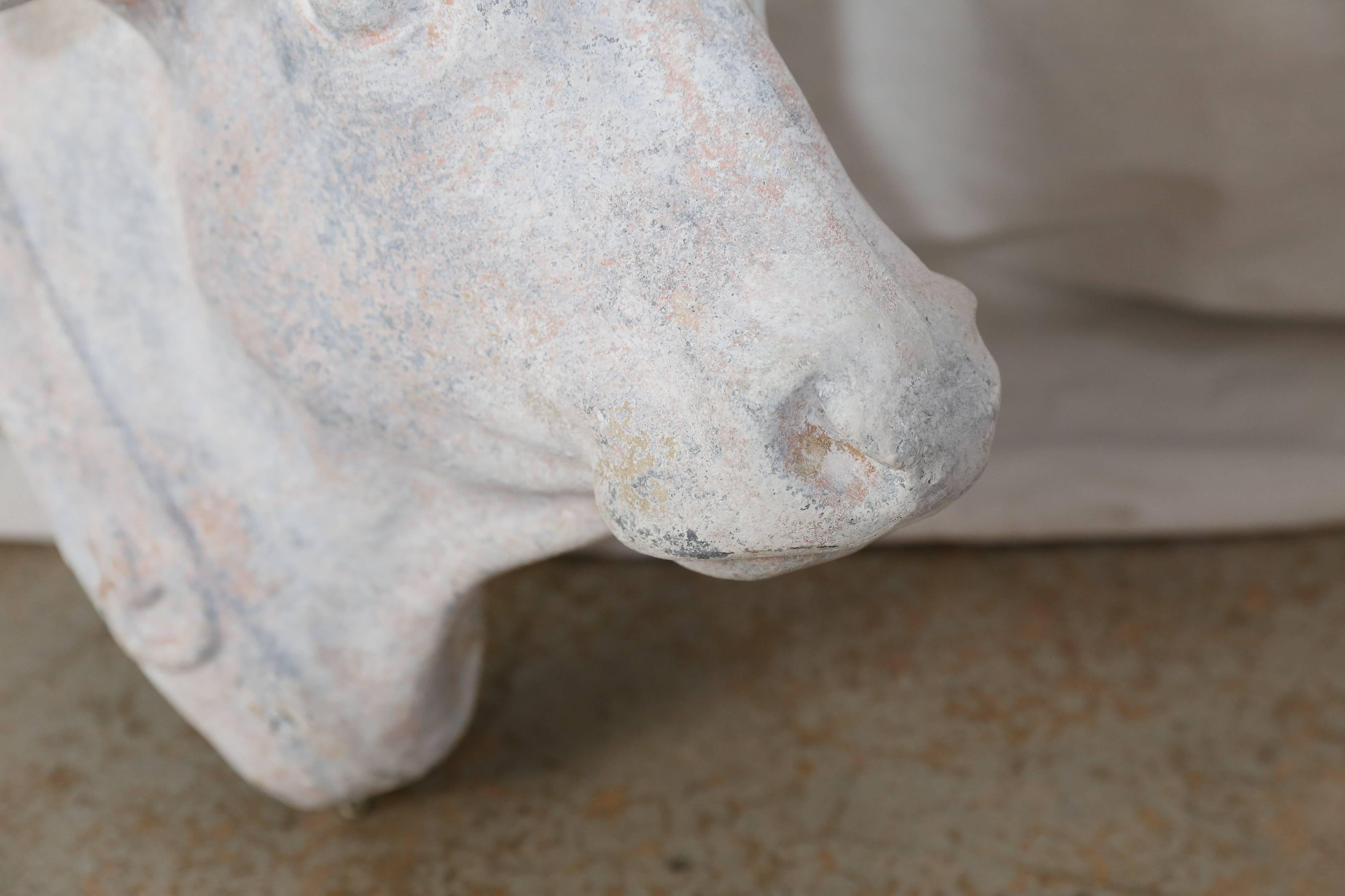 Faint traces of original tan and grey paint create a warm patina on this zinc bull head that was found in France. His right horn and a piece of his collar have been professionally restored with no trace that repairs were done. Wonderful detailing.