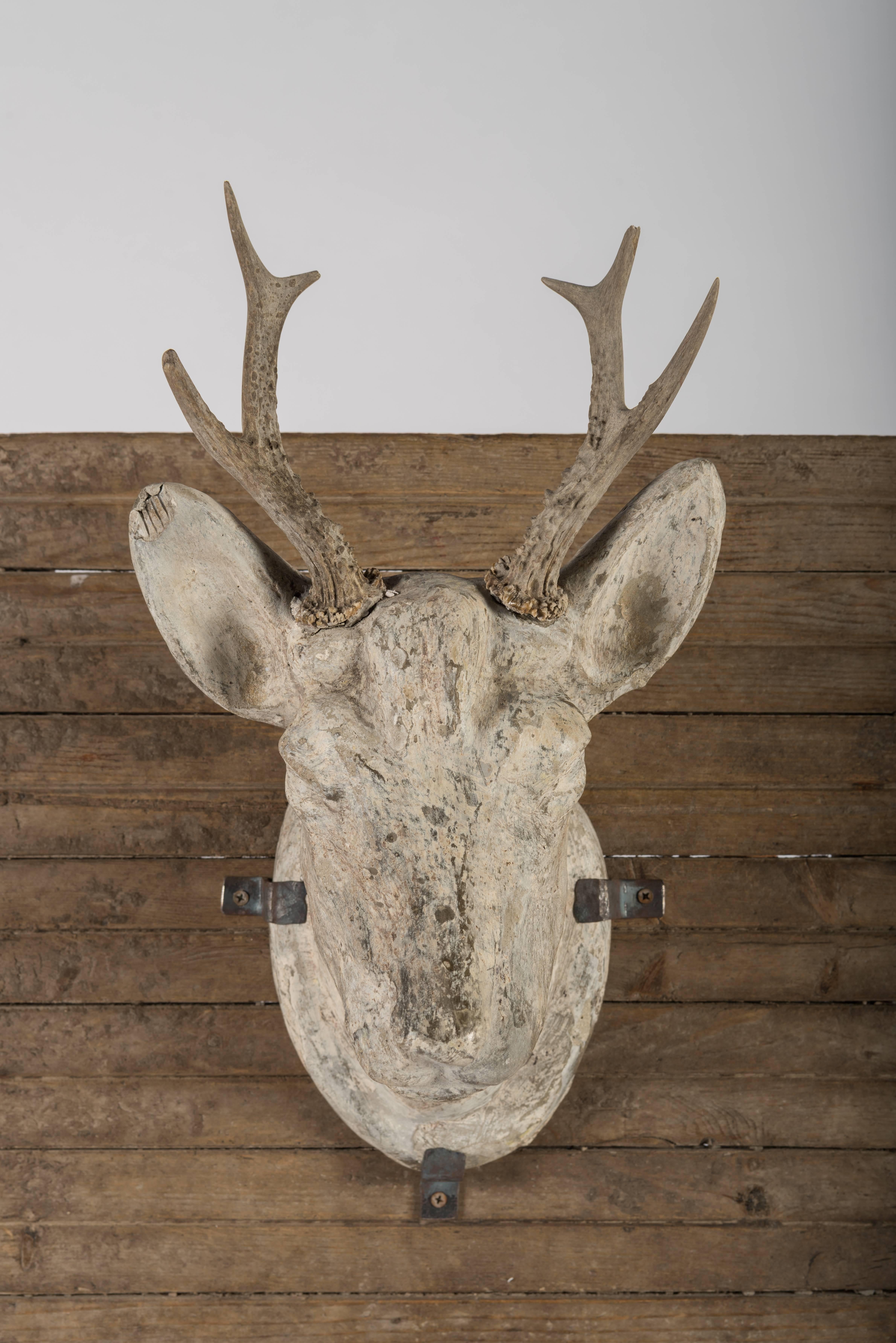 French Plaster Stag's Head on Board