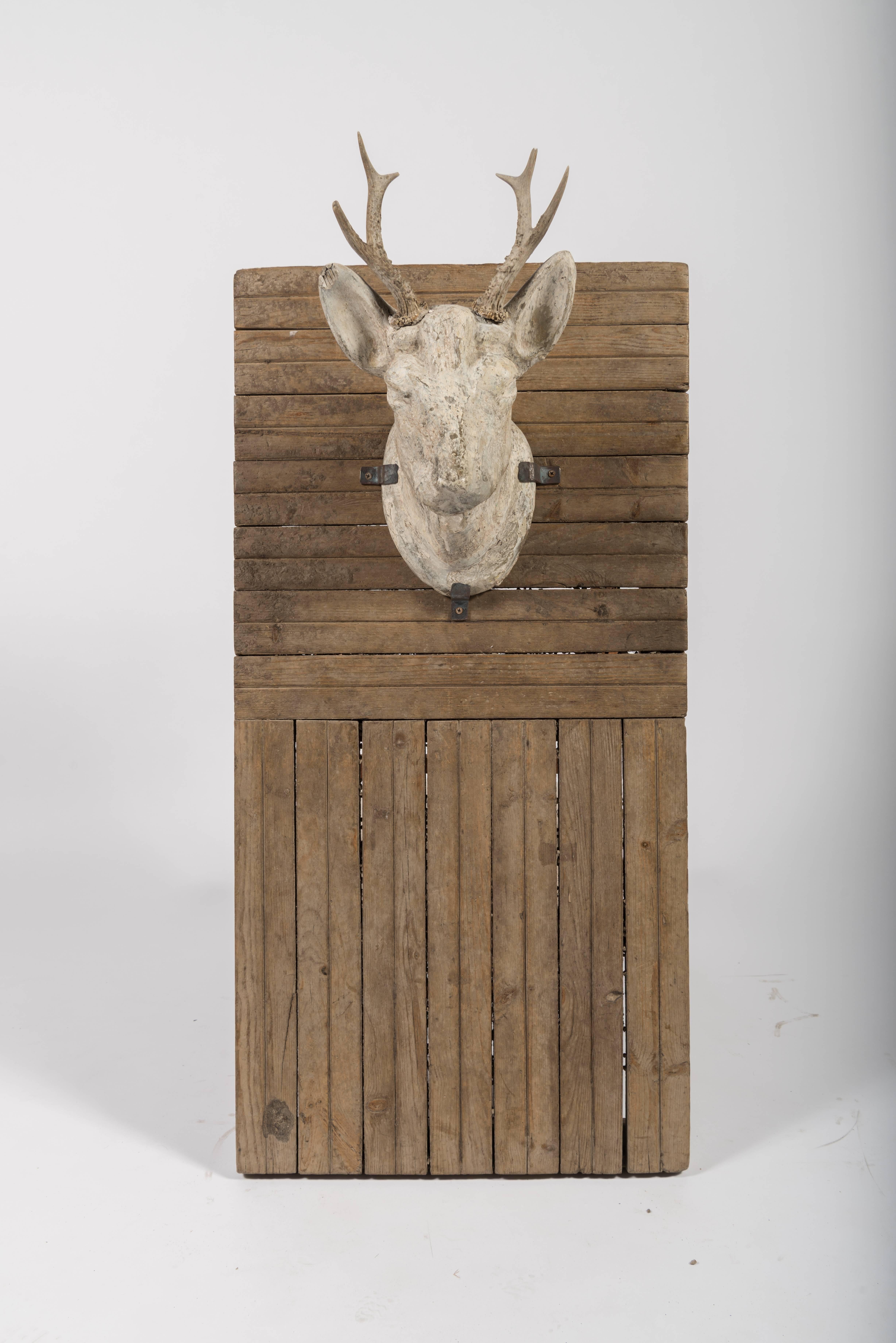 A stag's head of plaster with natural horns mounted with metal brackets on an old wooden floor pallet. Both pieces were found in France and joined together after their arrival here. With the exception of the horns, the stag's head has been washed