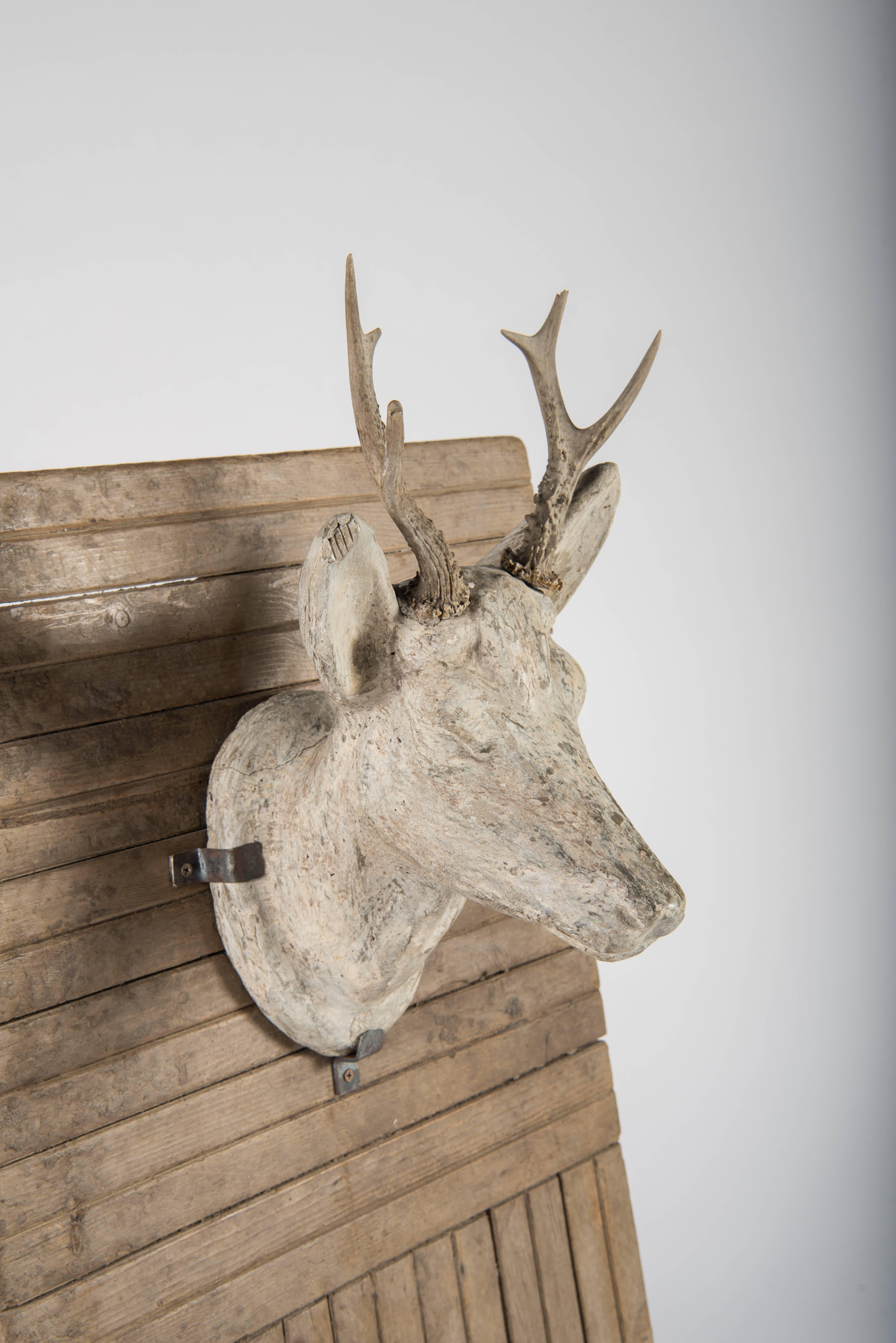 Plaster Stag's Head on Board In Good Condition In Houston, TX