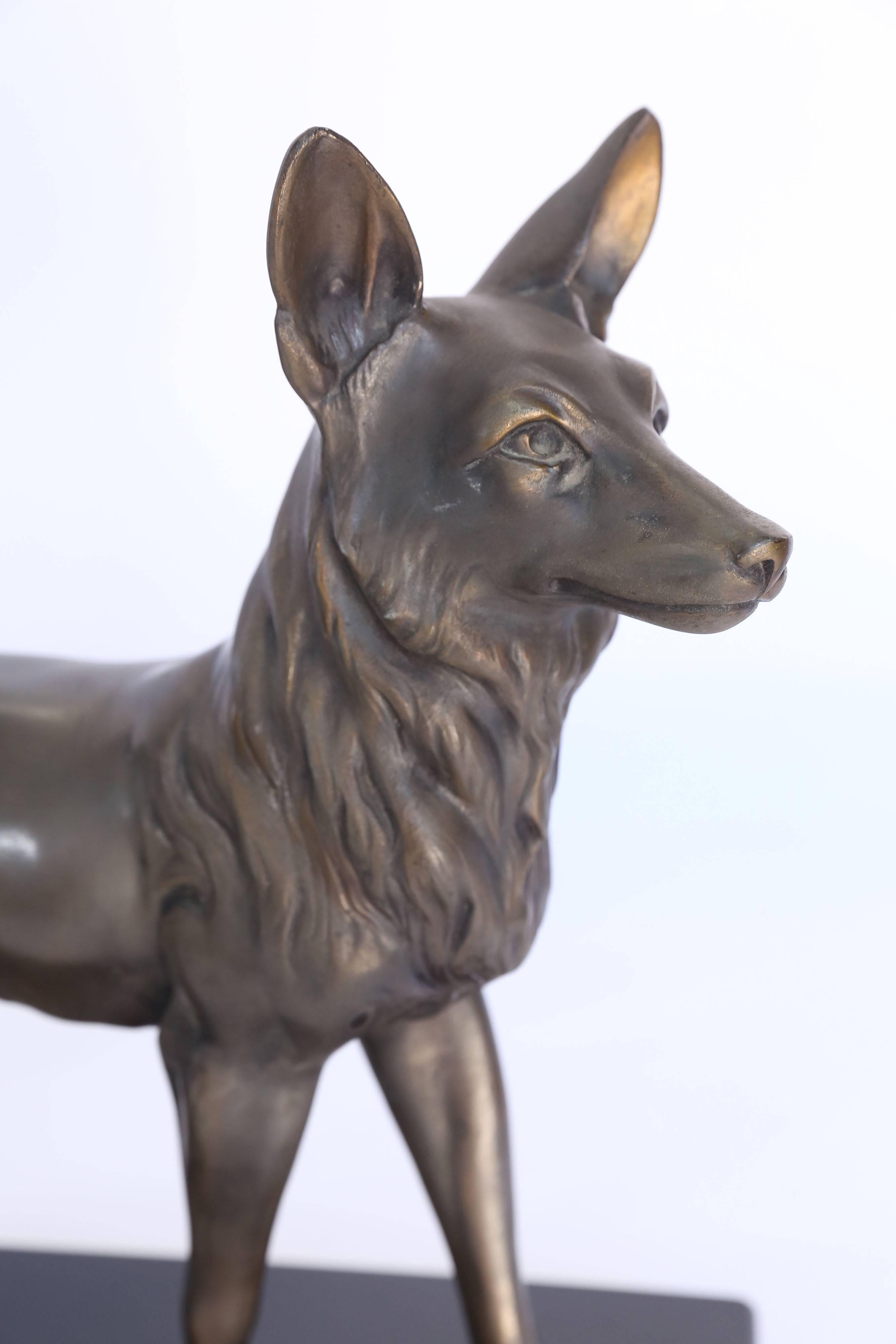 A pair of noble bronze dogs on a black marble slab signed 'Racho'.