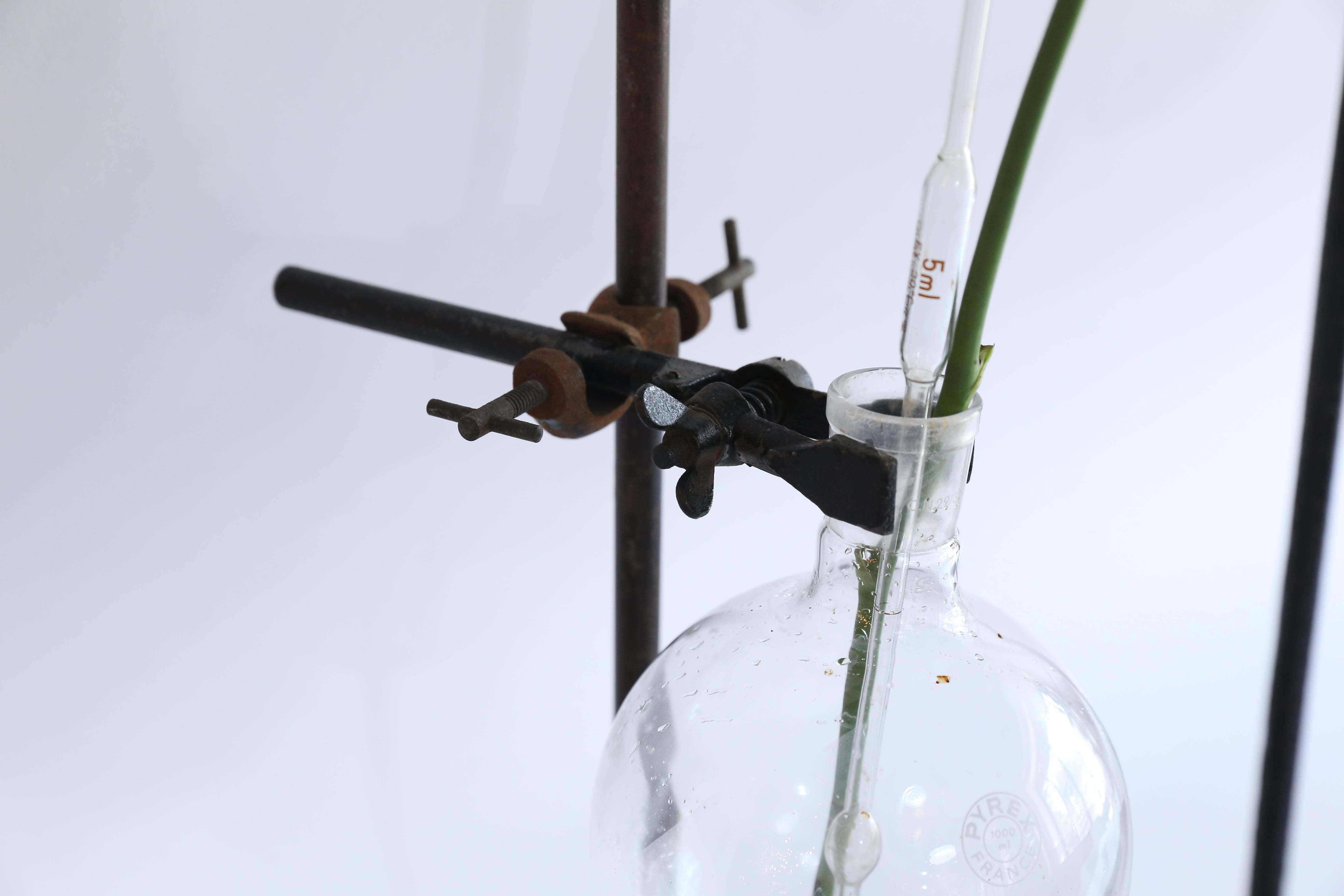stand and ring clamp