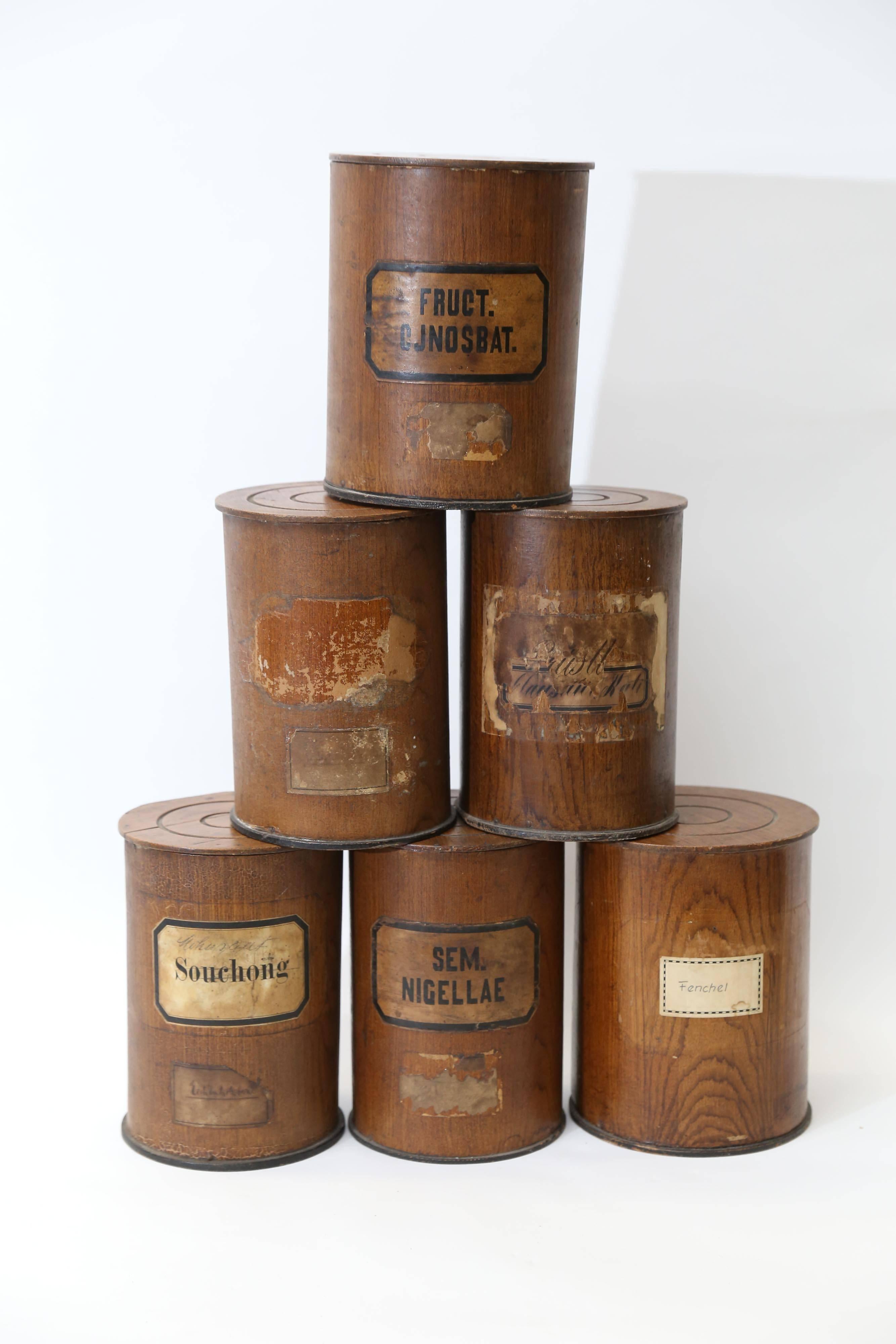 As versatile as they are fascinating, a six-piece set of wooden pharmacy containers from Germany. Four of the cylindrical containers are 6.25 inches in diameter, two are 7 inches in diameter. All are 9 inches high. All but one of the containers is