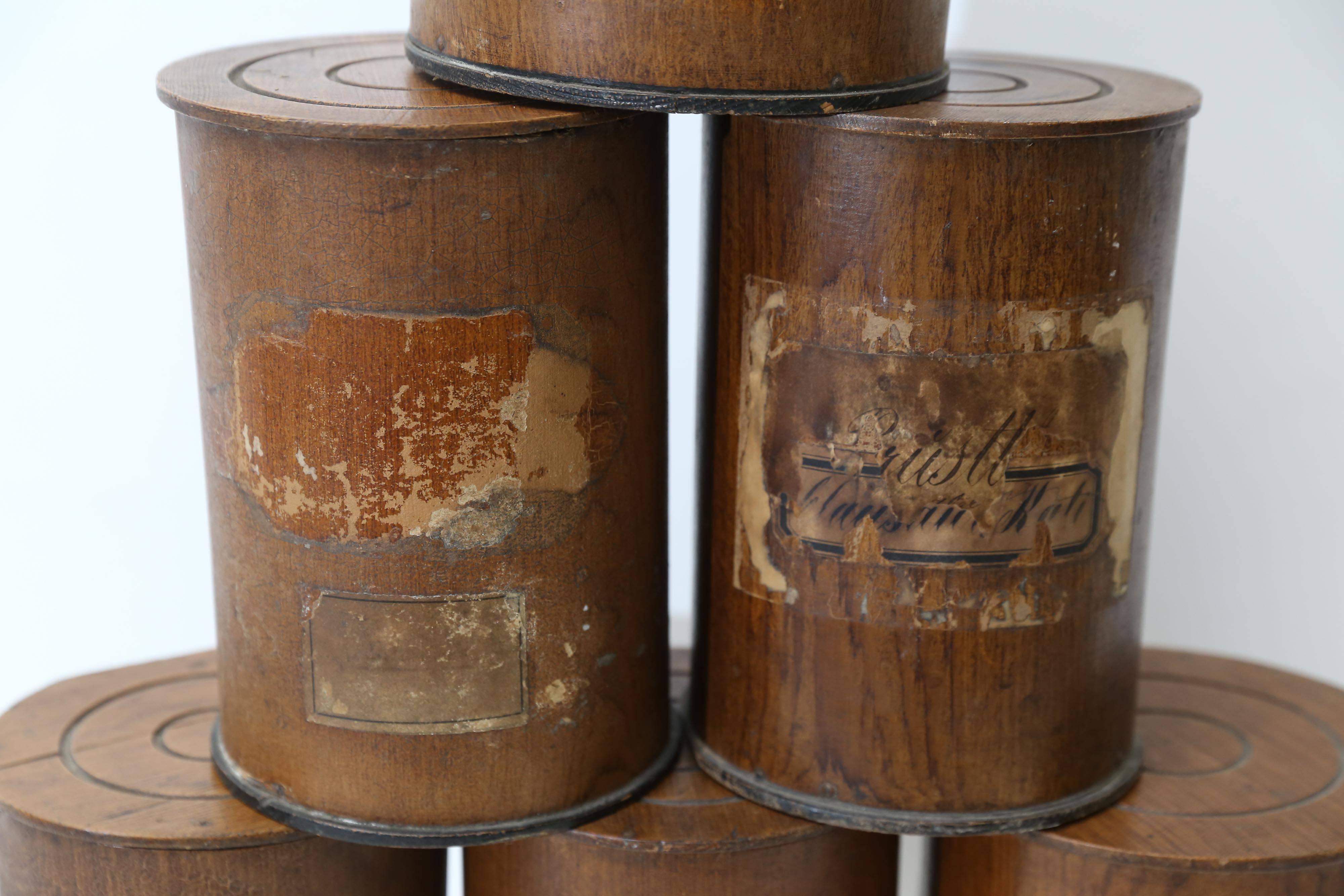 Early 20th Century Set of Six Wood Pharmacy Containers from Germany