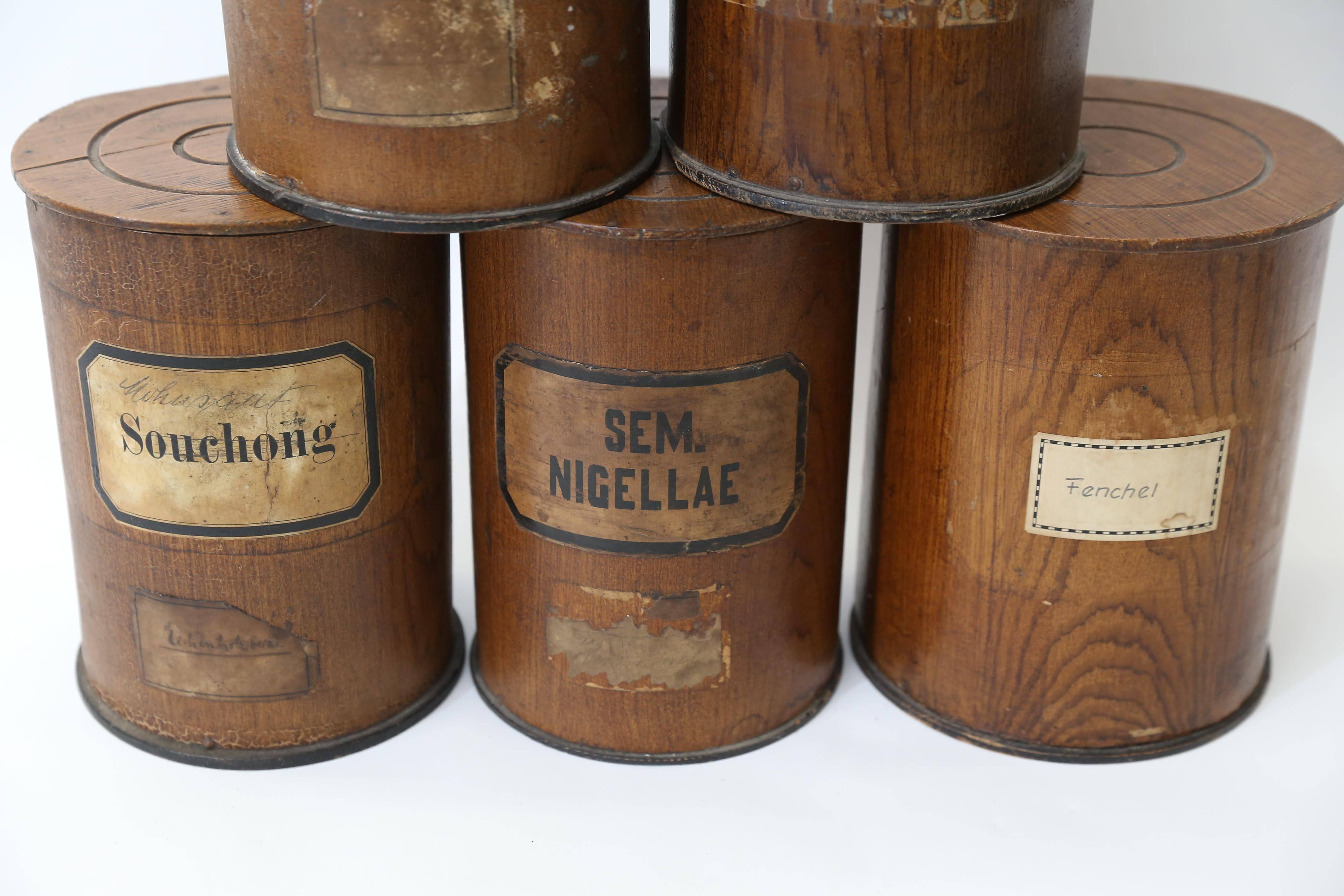 Set of Six Wood Pharmacy Containers from Germany 1