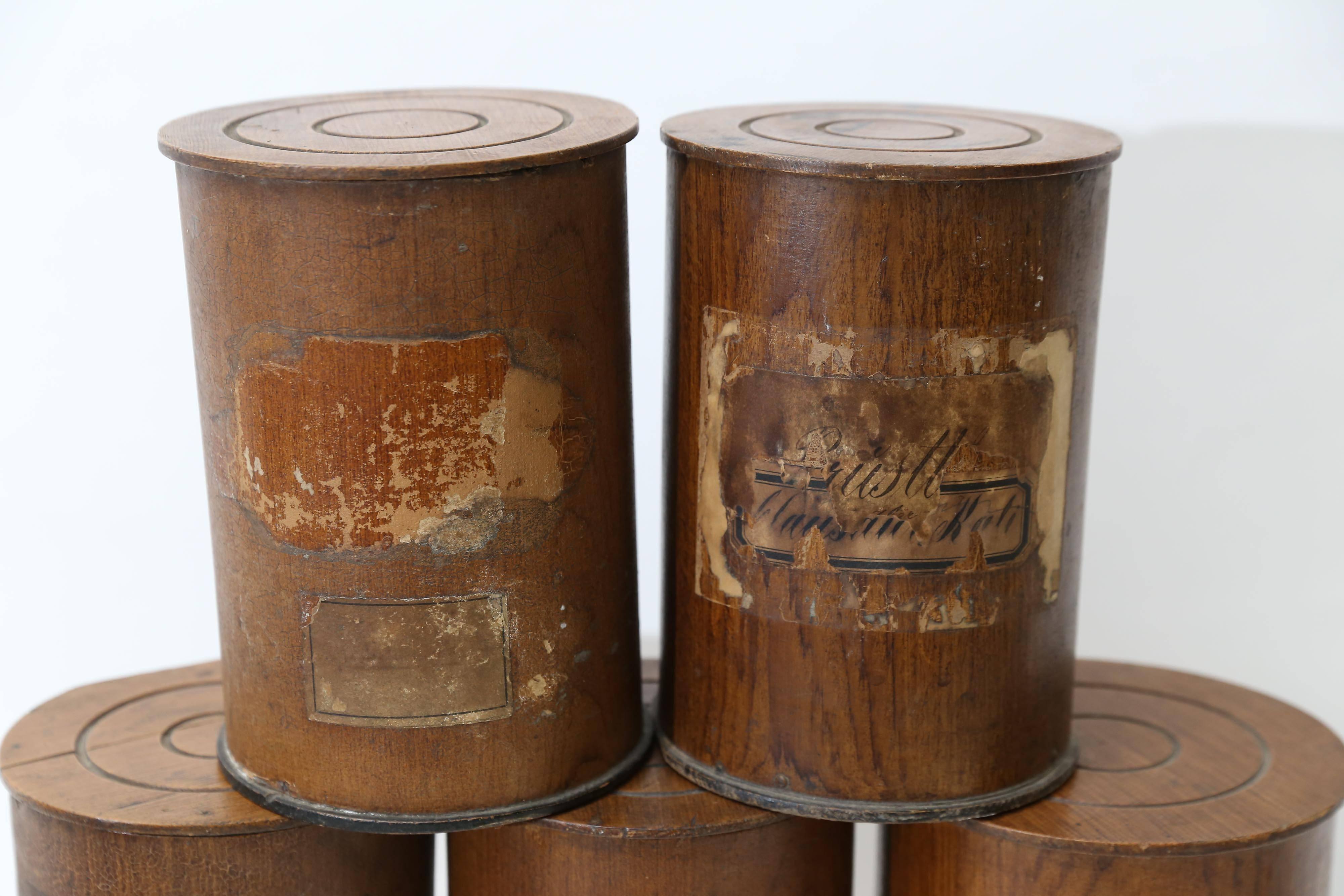 Set of Six Wood Pharmacy Containers from Germany 4