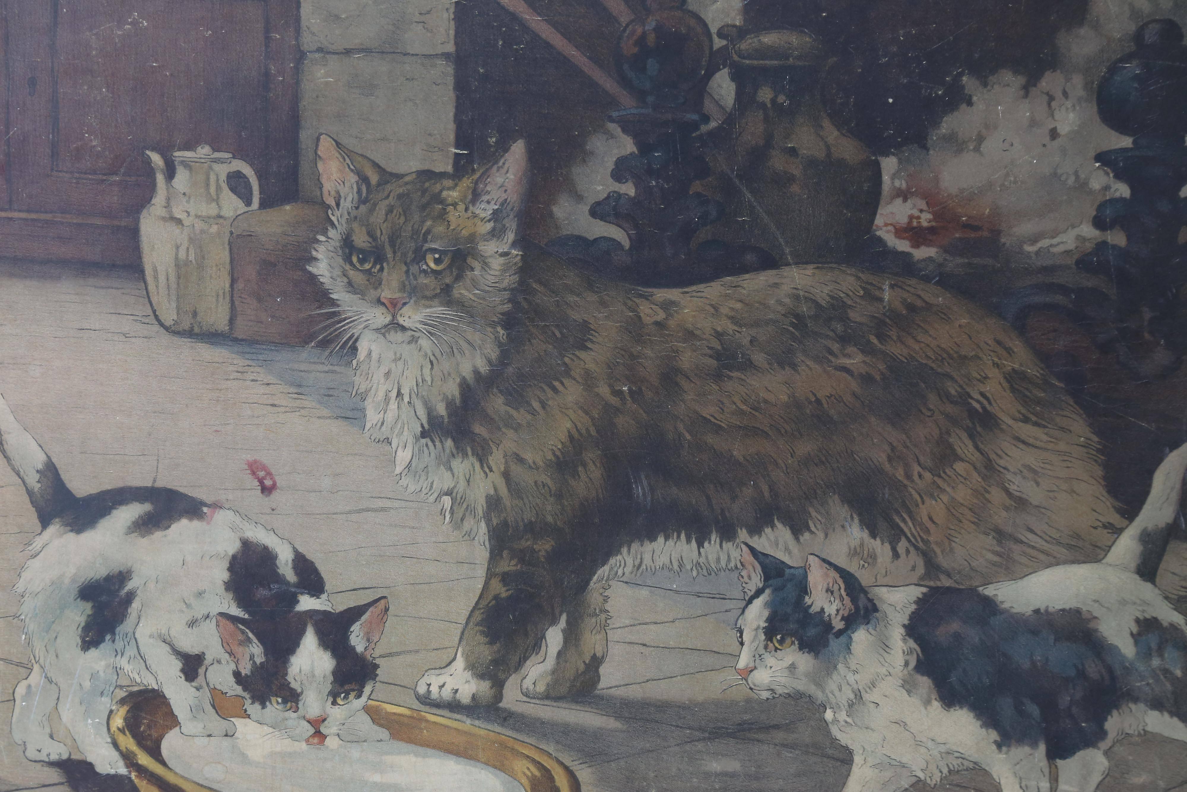 An educational poster of cats by French post-impressionist painter and engraver Edouard Henry-Baudot. In addition to large bucolic-inspired symbolist canvases, Art Nouveau nudes, rural scenes and animals, Baudot produced posters , illustrations for