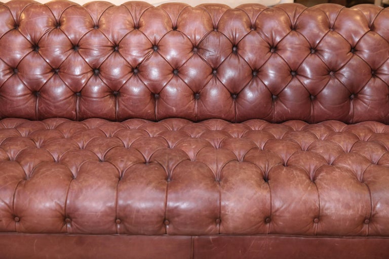 Leather Chesterfield Sofa At 1stdibs Leather Chesterfield Sofa In Good Condition For Houston Tx