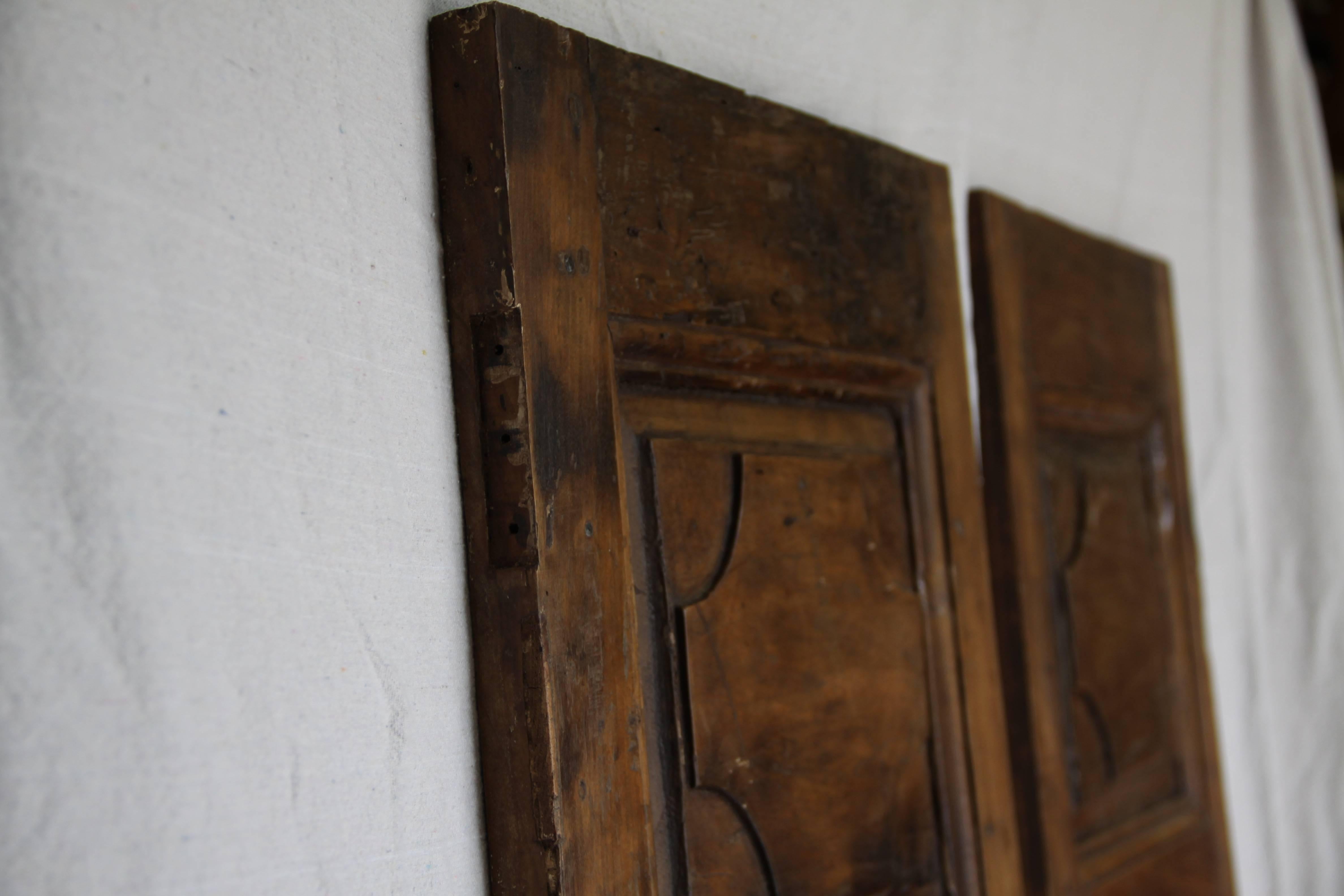 19th Century Pair of Louis XIV Walnut Doors