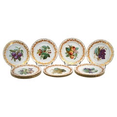 Set of 12 French Napoleon III Porcelain Plates, Lahoche & Pannier, circa 1860