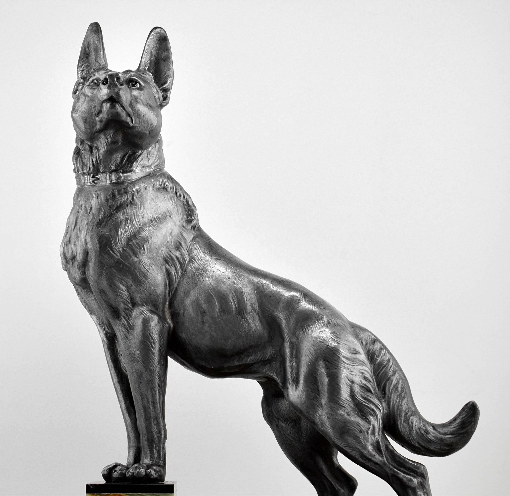 Grande sculpture française de berger allemand Art déco, vers 1930. Le chien est fait d'étain brut. Il repose sur un socle en marbre raffiné avec des escaliers. Signé 