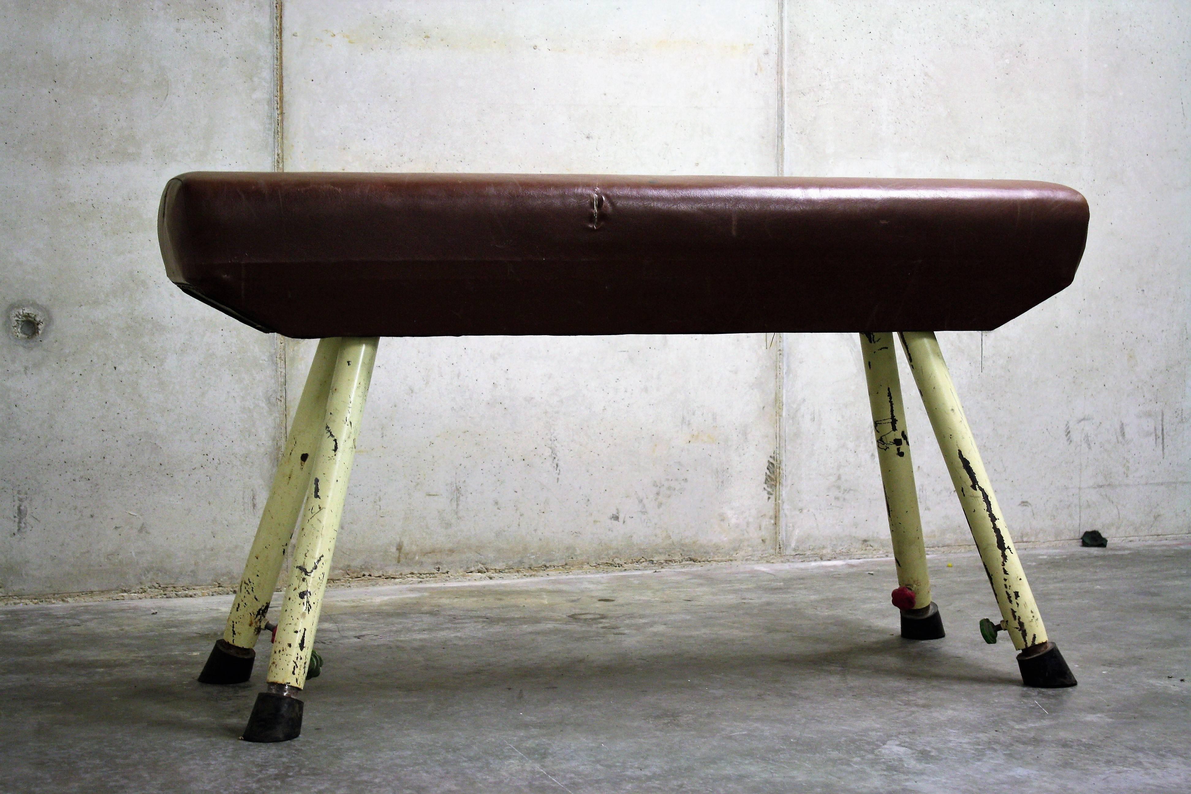 Industrial Vintage Pommel Horse, 1950s