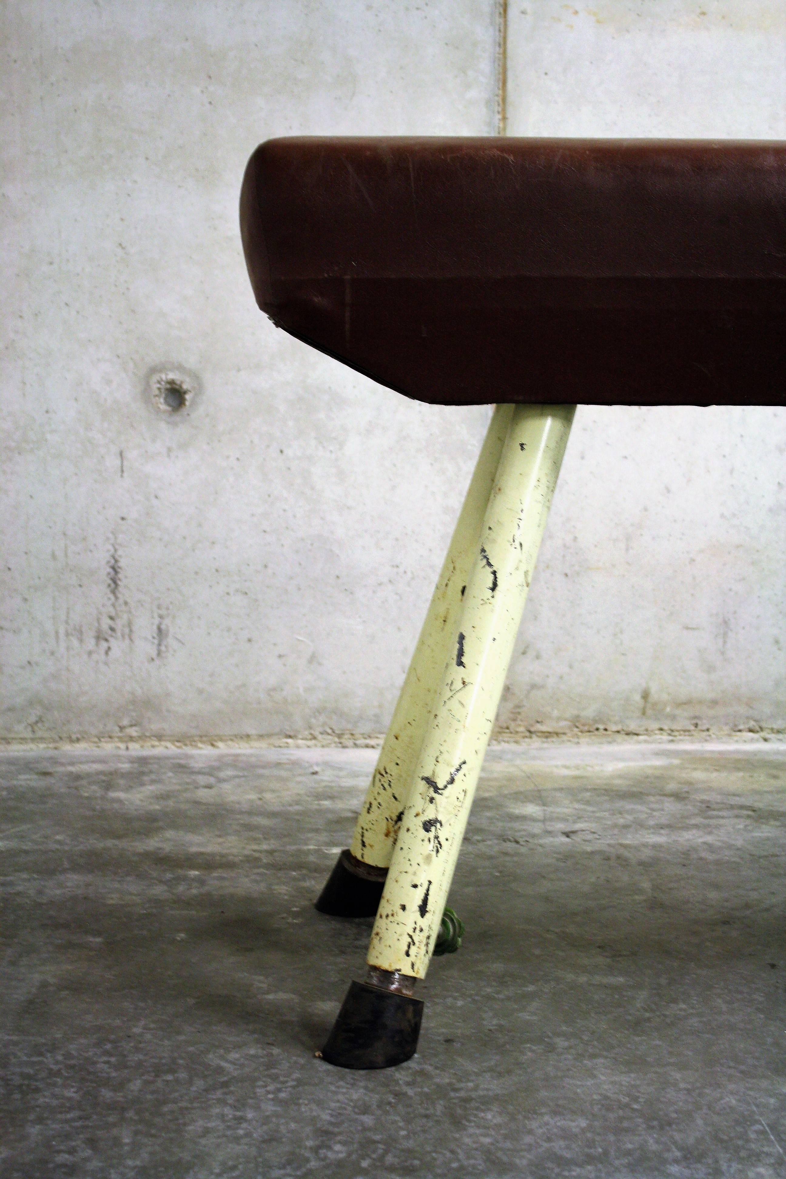Russian Vintage Pommel Horse, 1950s