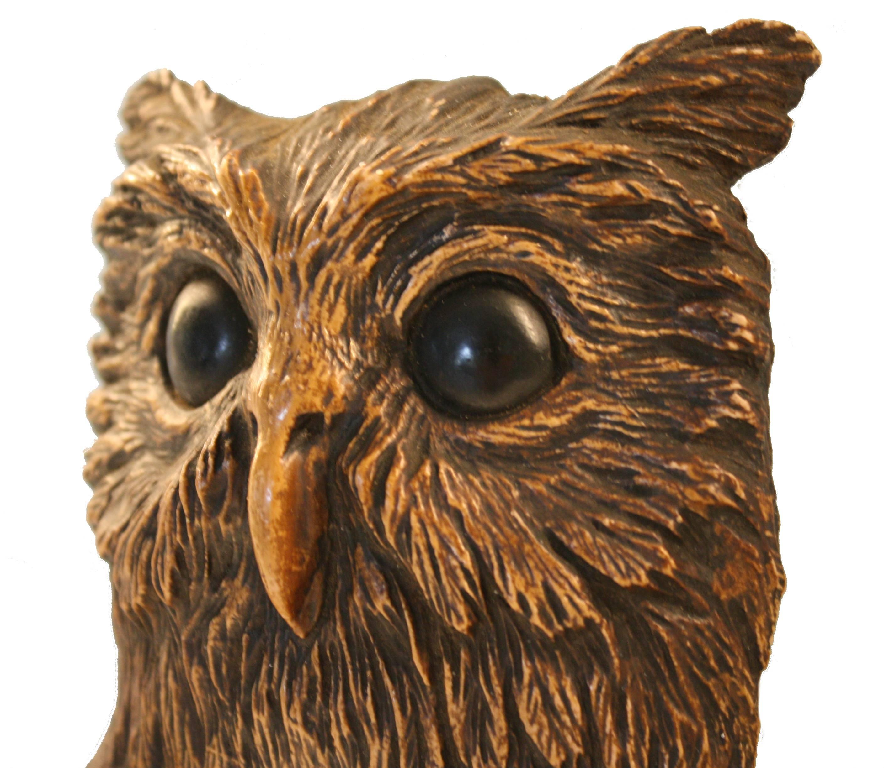 mirror owl