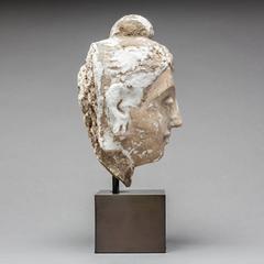 2nd Century Gandharan Stucco Buddha Head
