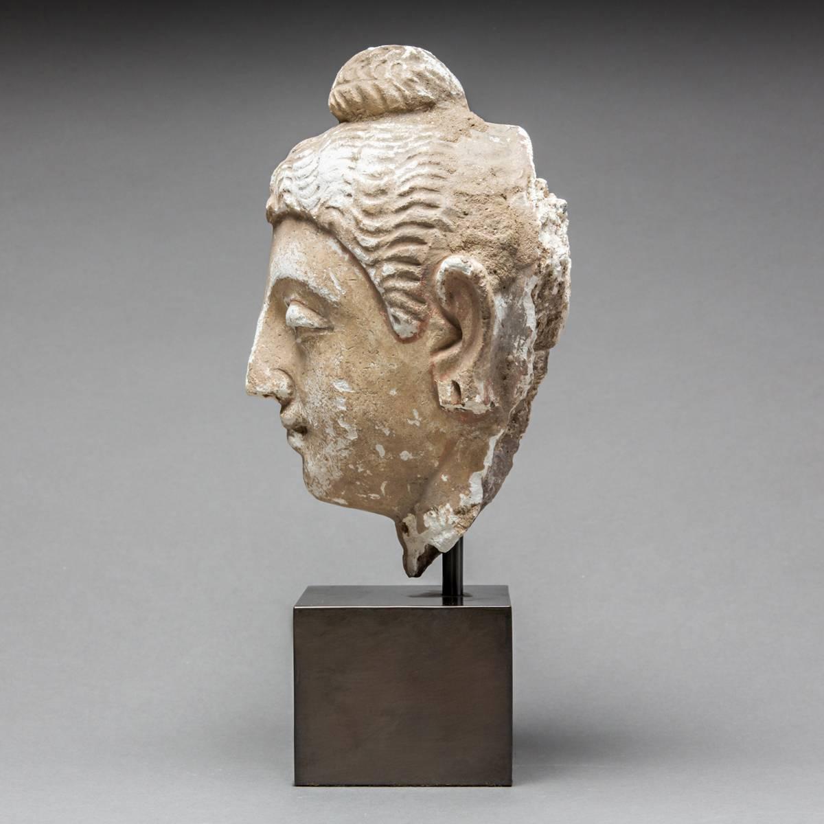 Afghan 2nd Century Gandharan Stucco Buddha Head For Sale