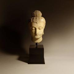 5th Century Gandharan Stucco Head of the Buddha