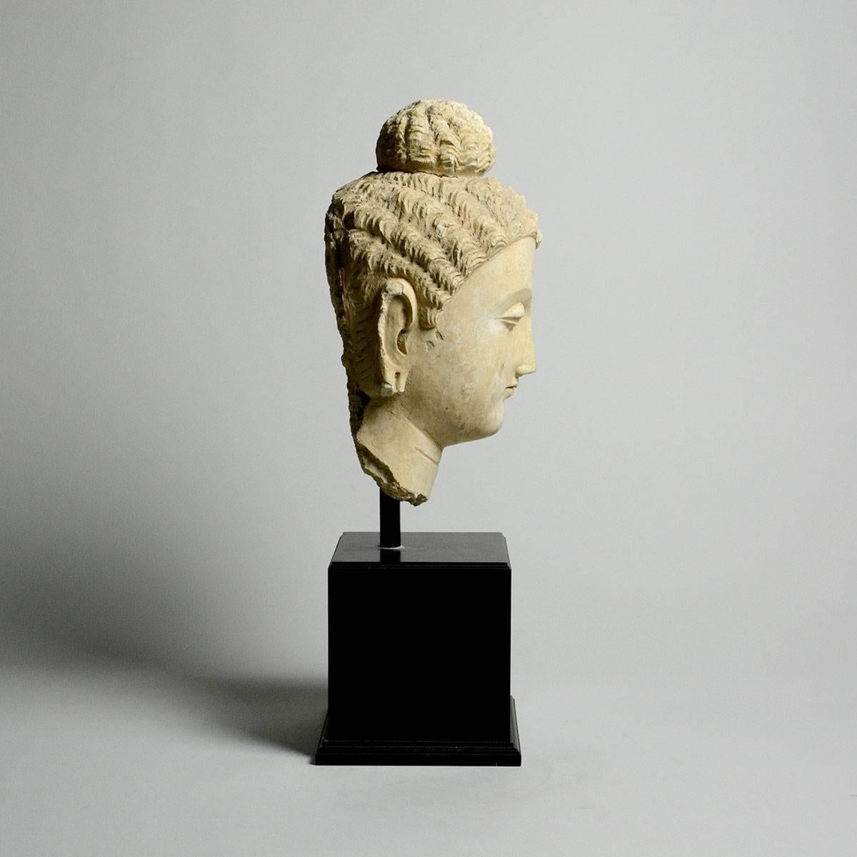 5th Century Gandharan Stucco Head of the Buddha In Good Condition For Sale In Beverly Hills, CA