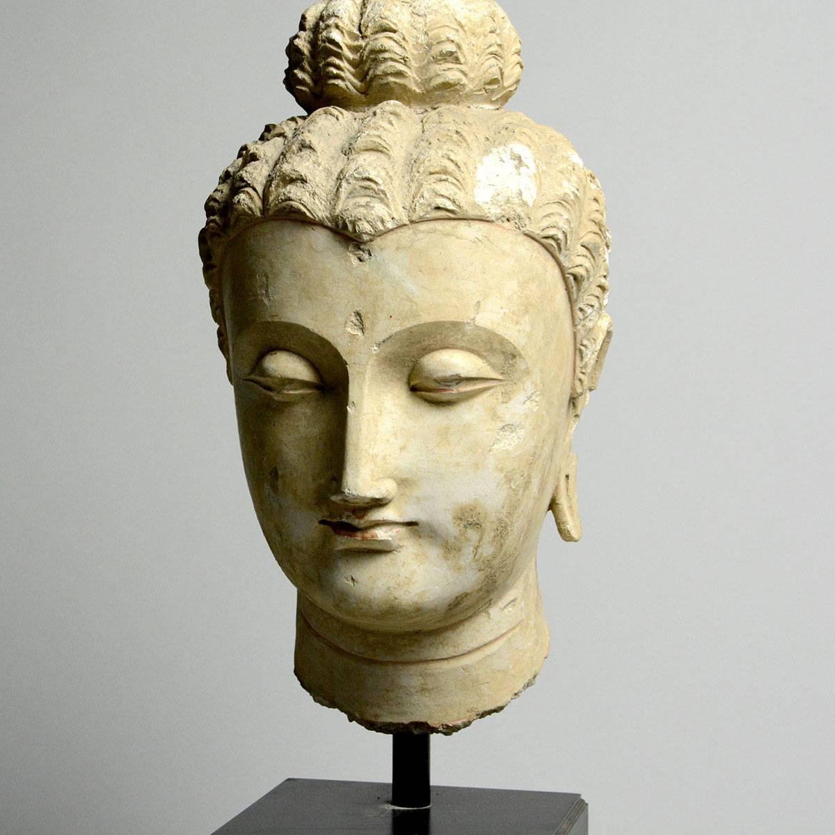 18th Century and Earlier 5th Century Gandharan Stucco Head of the Buddha For Sale