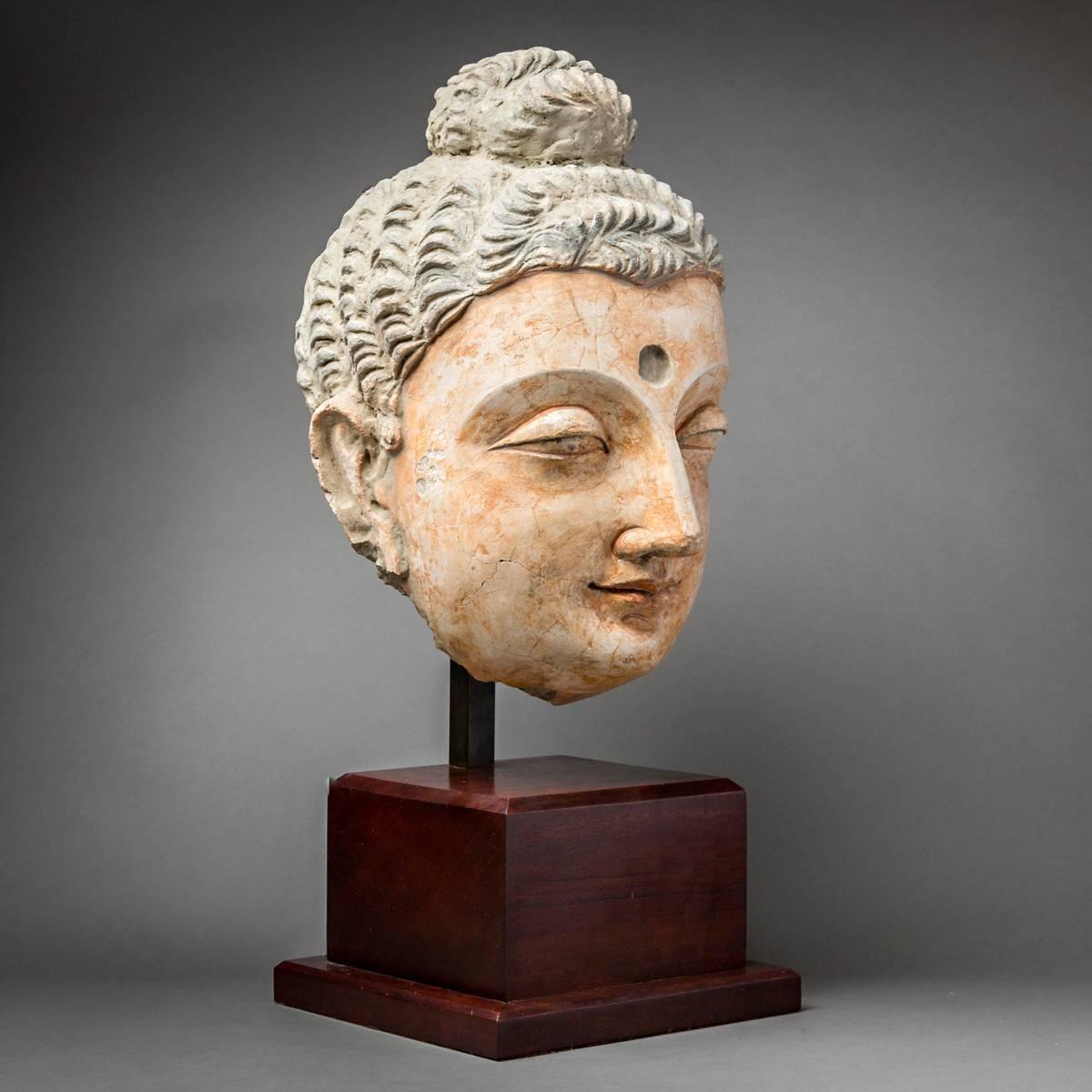 Afghan Gandharan Large Polychromed Buddha Head For Sale