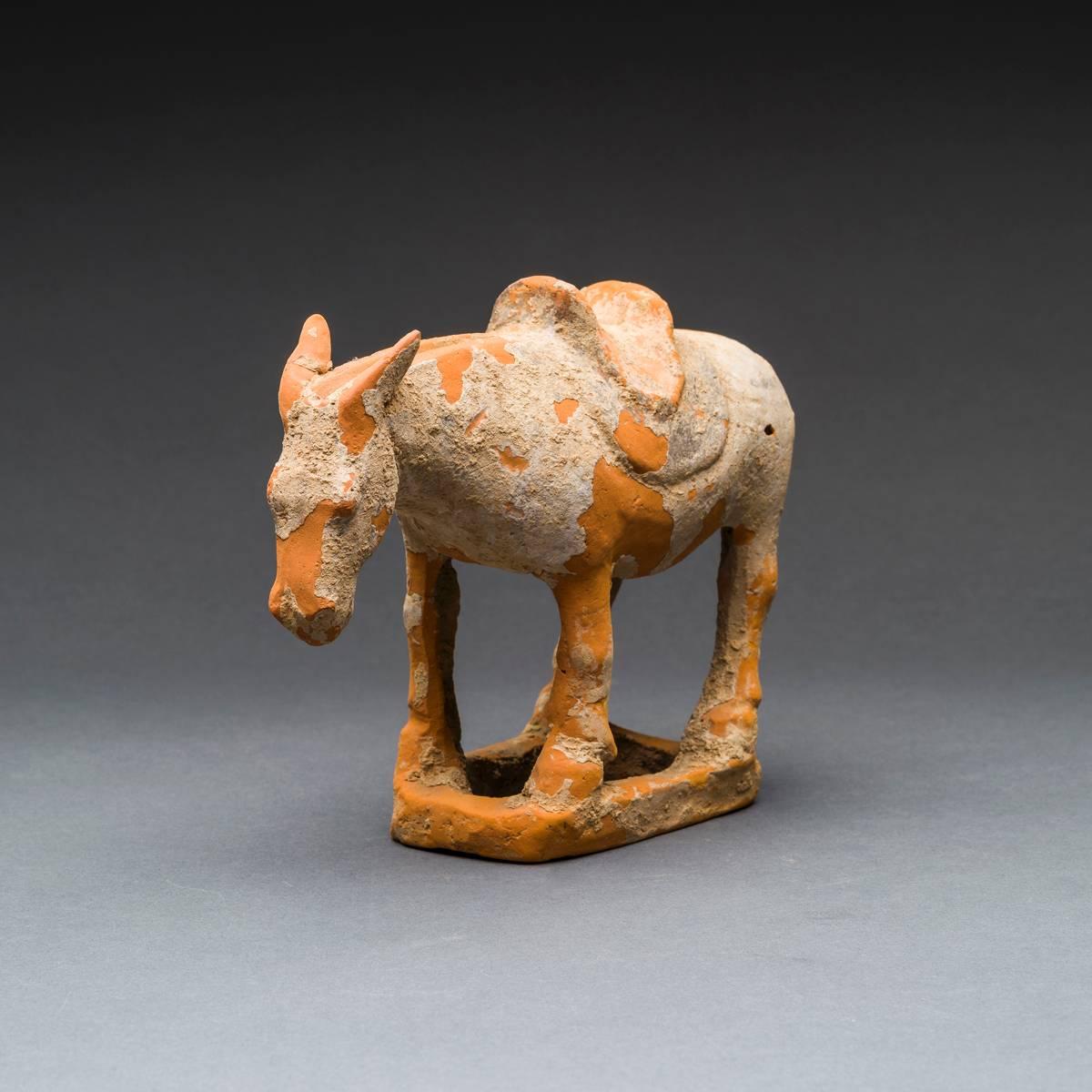 Chinese Han Period Terracotta Figure of a Mule For Sale