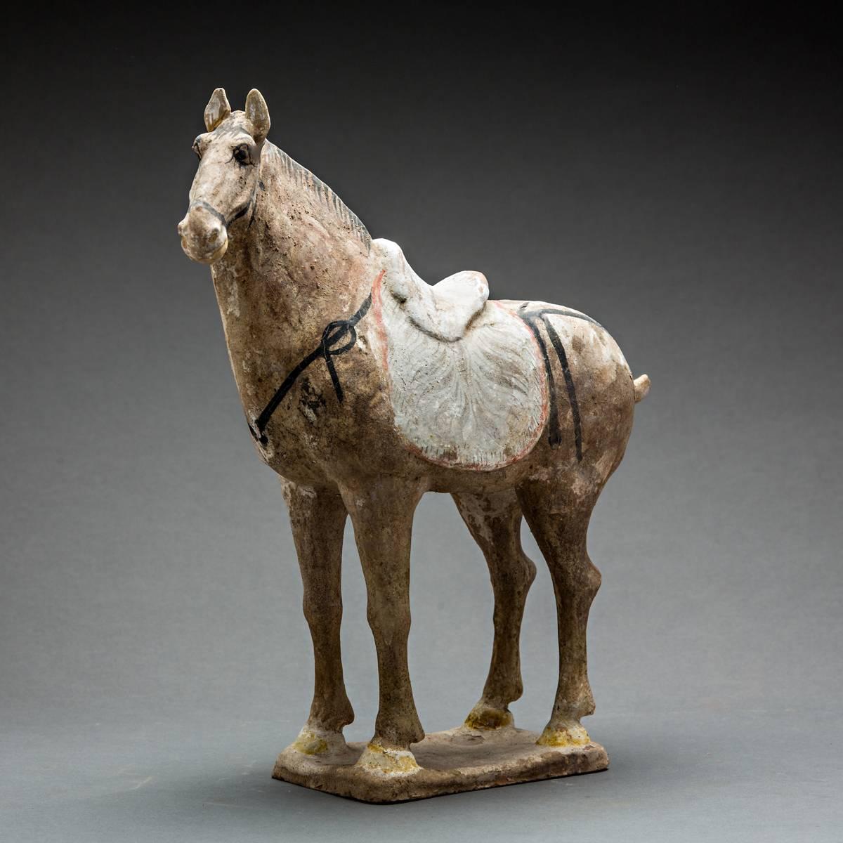 Fired Tang Sculpture of a Horse For Sale