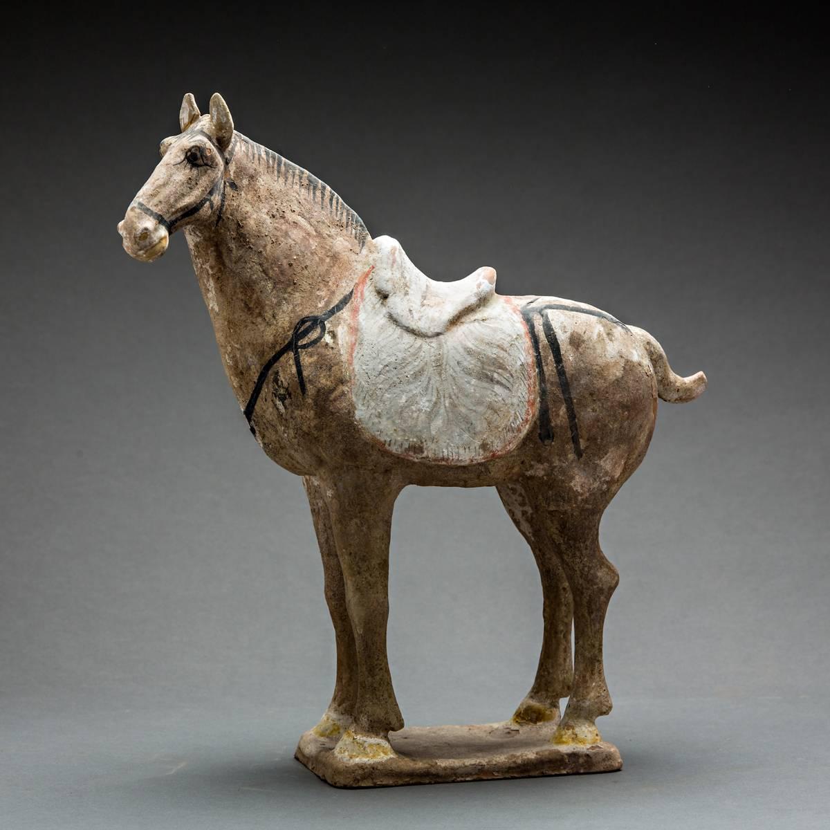 During the Tang dynasty, China enjoyed a period of consolidation, achievement, and confidence. T'ang art tends to reflect this assurance in its realism, energy, and dignity. Pottery of this era is often compared to that of Classical Greece for the