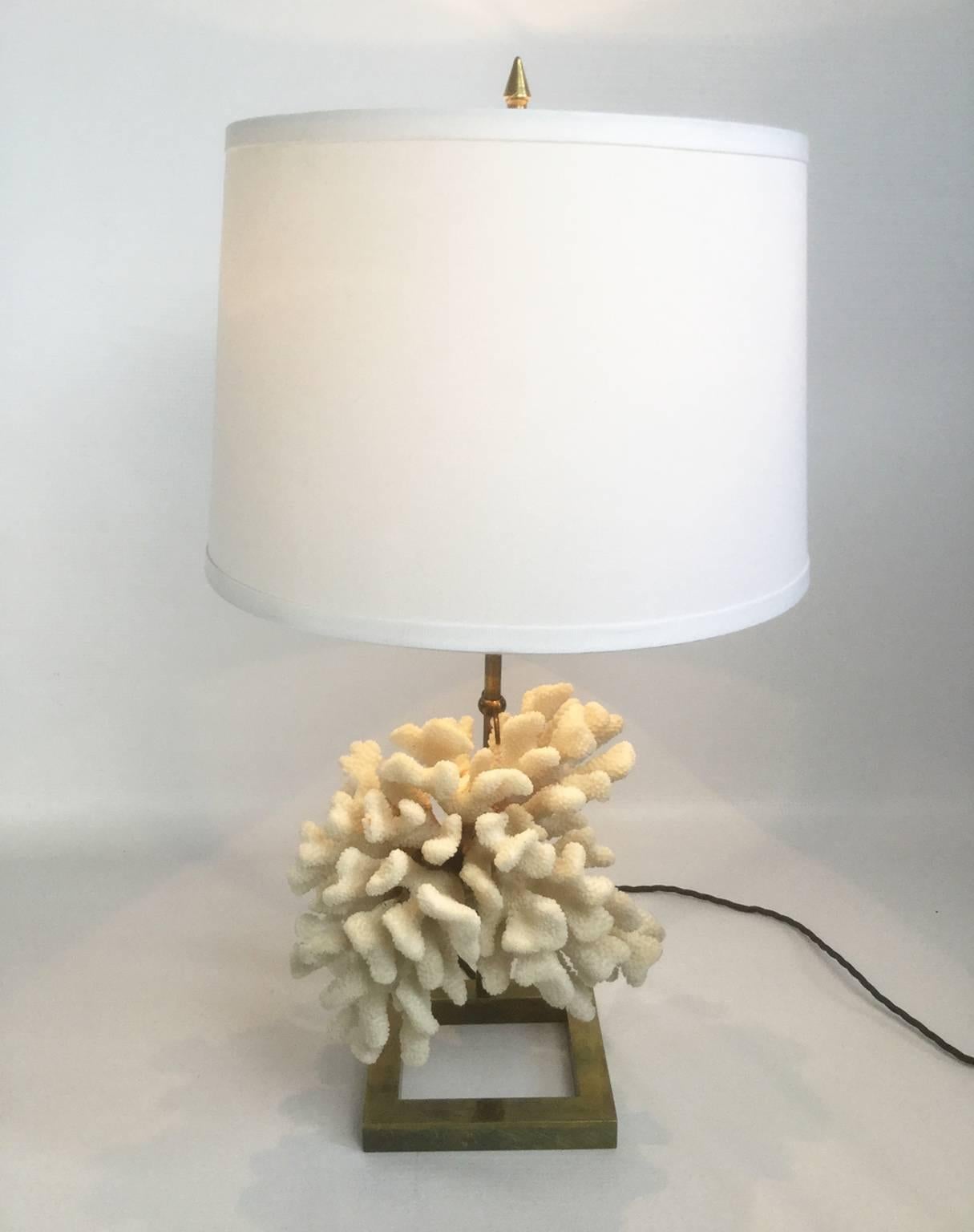 White Coral table lamp on brass.
 