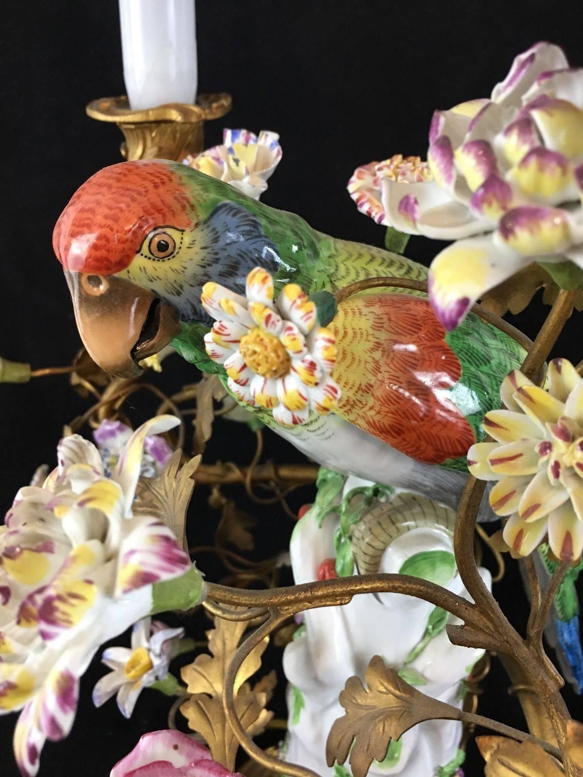 Pair of French/German Porcelain Parrot Lamps 19th Century, After Meissen 1