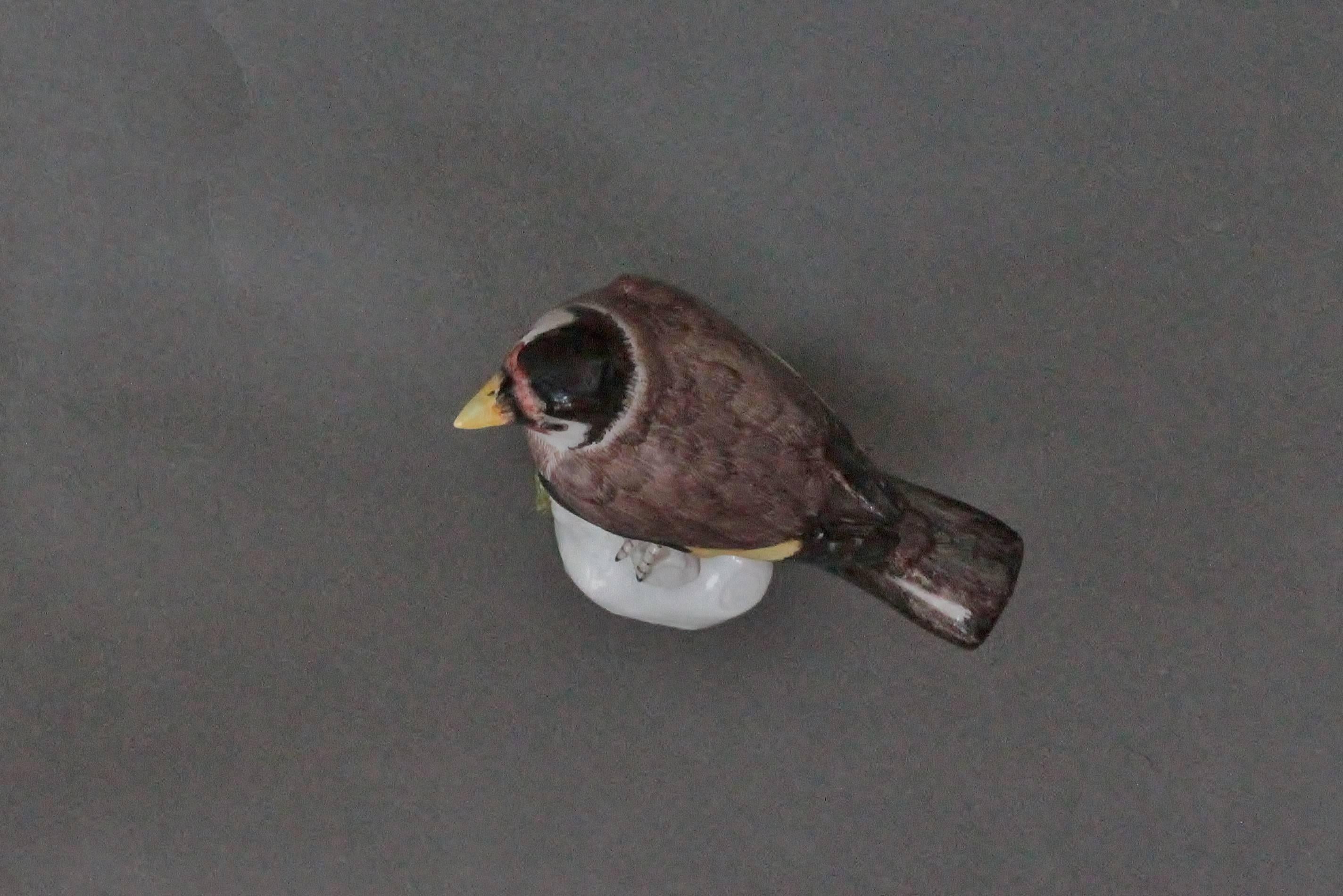 Meissen Model of a Goldfinch, circa 1745 For Sale 2