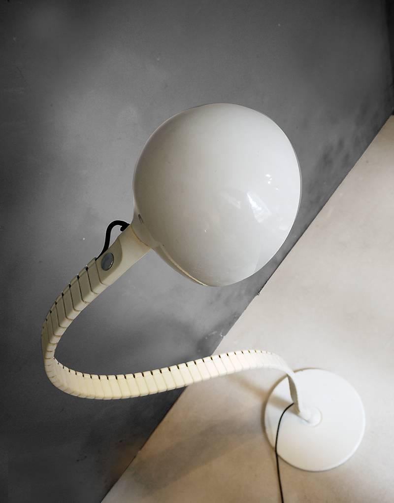 spine lamp