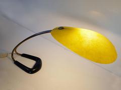 Midcentury Fiberglass Desk Lamp, Austria, 1950s