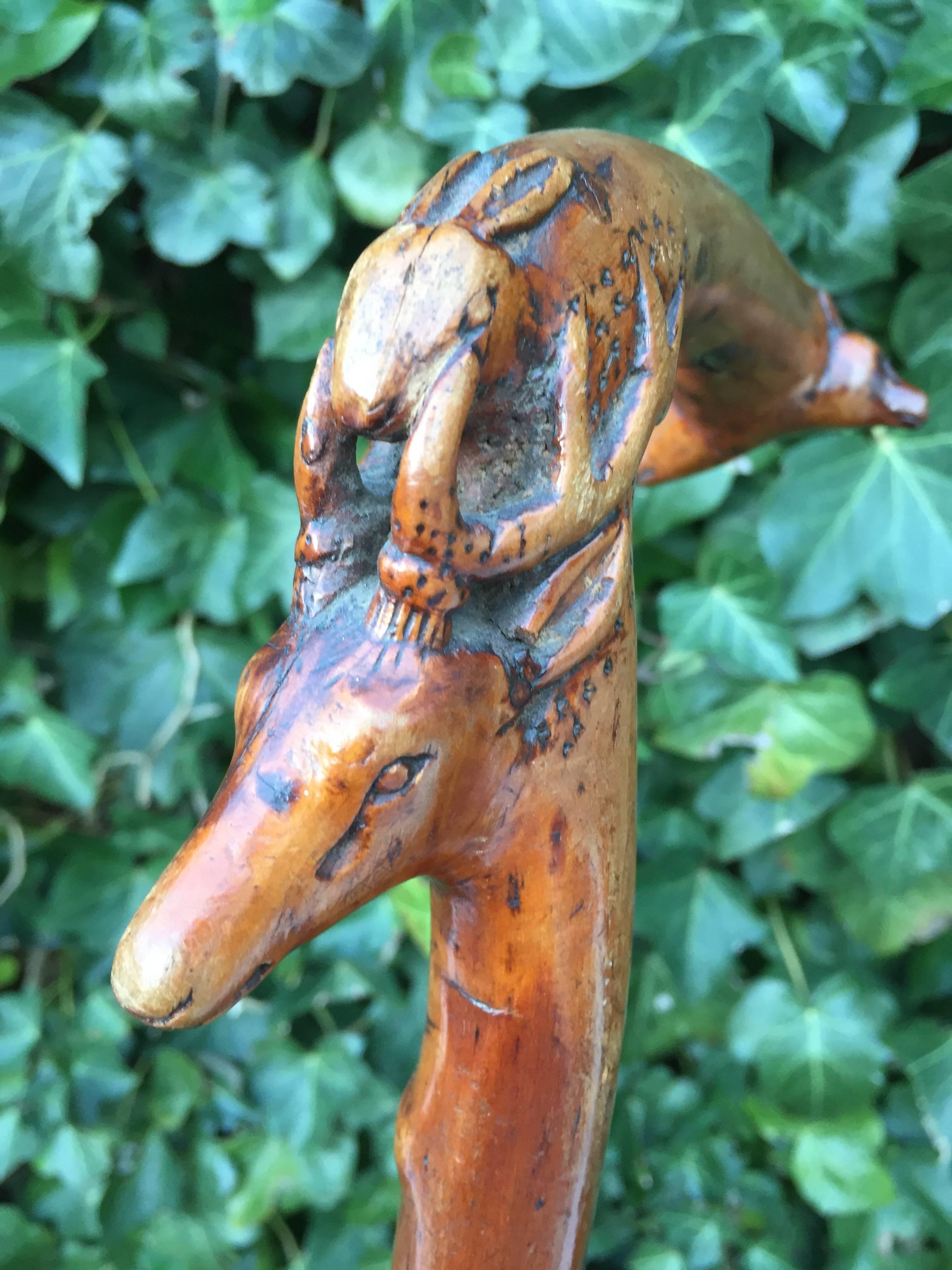 Rare and skilfully carved walking cane.

Impressive and practical walking stick with as much as five different animals carved on/in the handle. It obviously is a handcrafted cane that is all about the hunt. It is not only made as a display piece, it