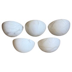 Set di 5 lampade da parete in alabastro di stile Art Deco del MidCentury, Timeless Design