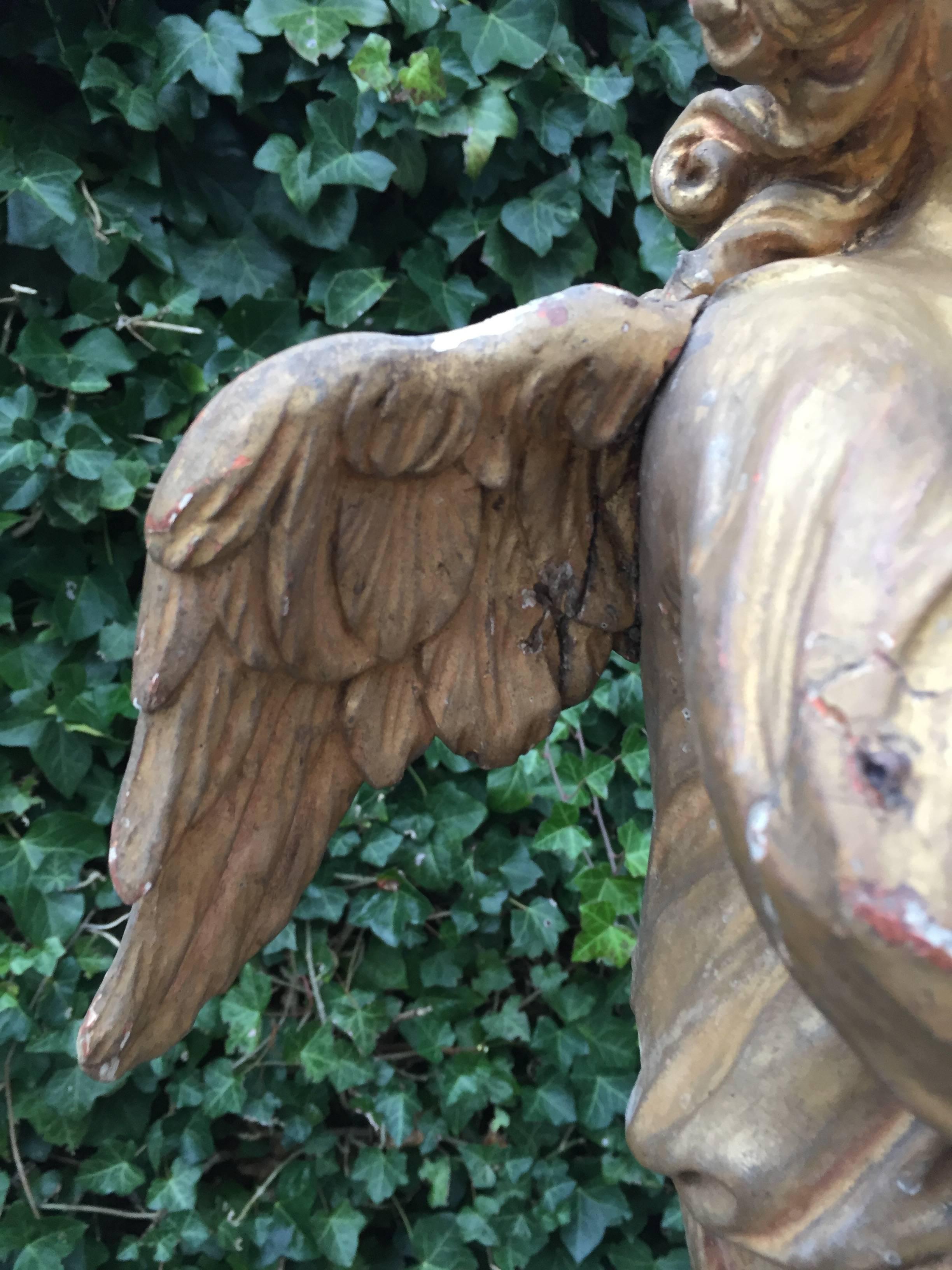 Néerlandais Antiquité 18ème siècle Art Gothique Doré Sculpture Ange en Wood Carved Chandelier en vente