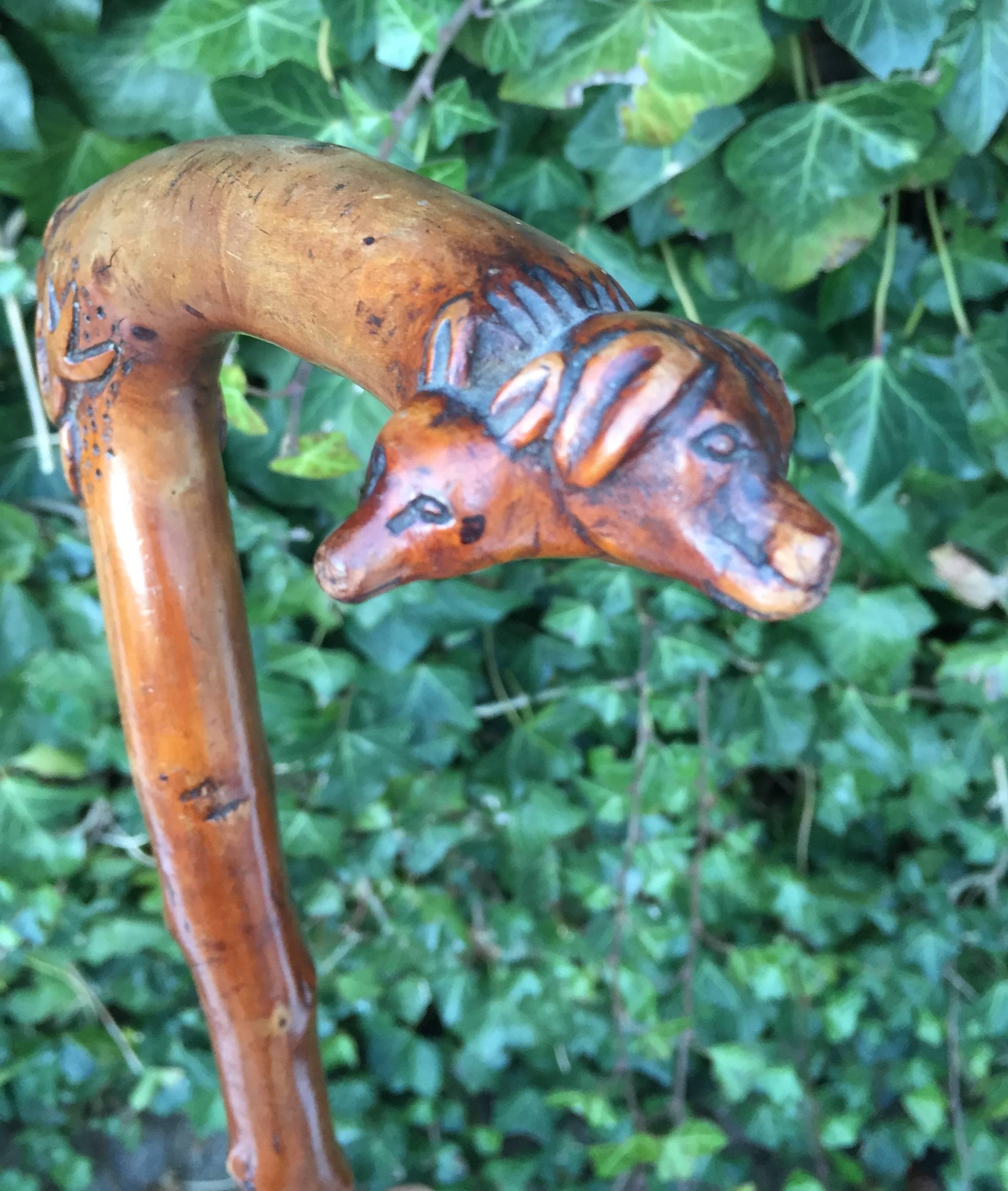 deer walking stick