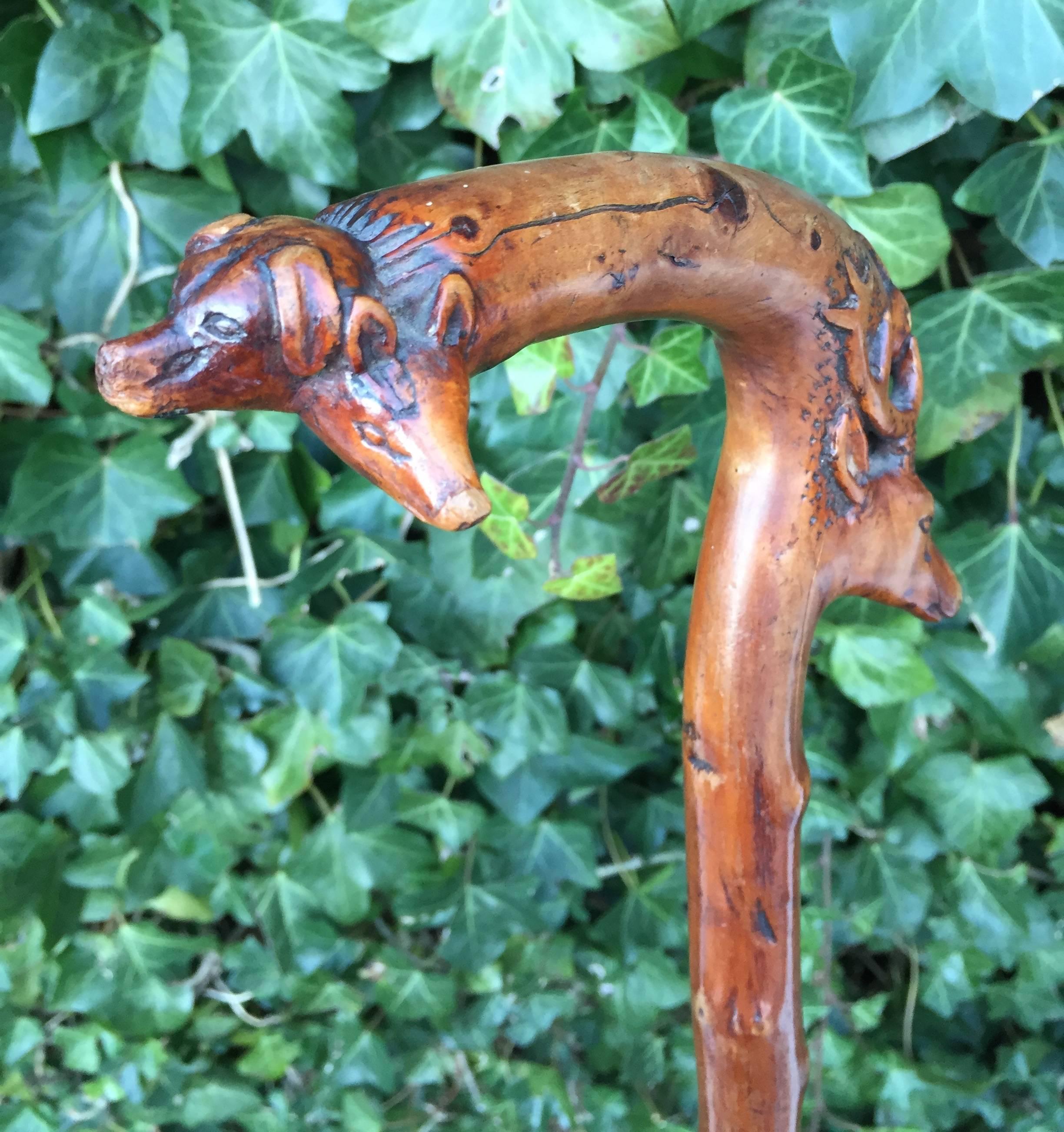 Victorian Antique Hunting Cane Walking Stick with Carved Deer Fox Hare Hound and Pig