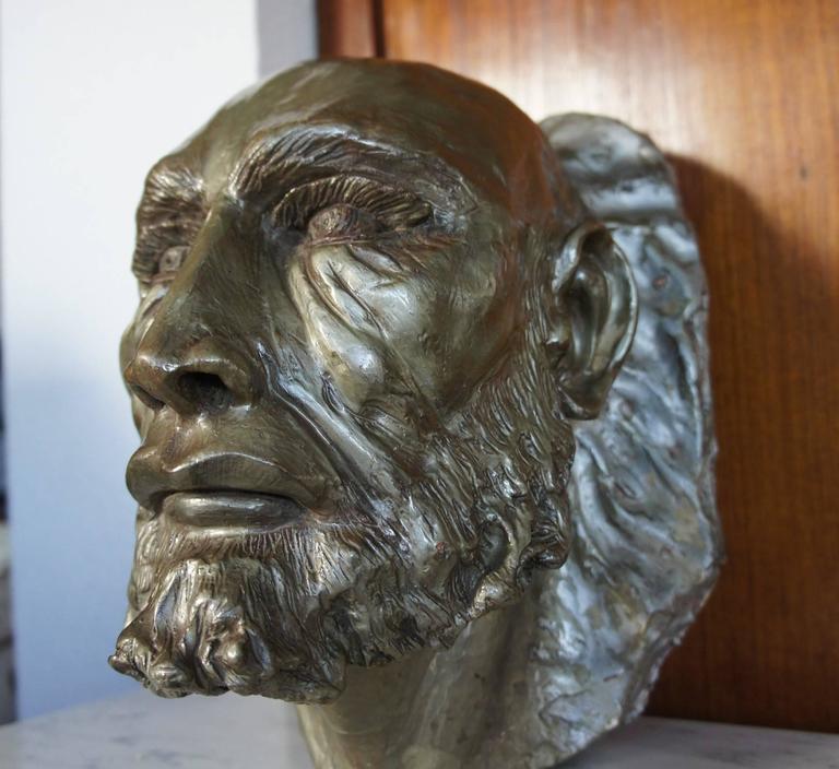 Bust Jaws Meaning / 1975 film directed by steven spielberg (starring