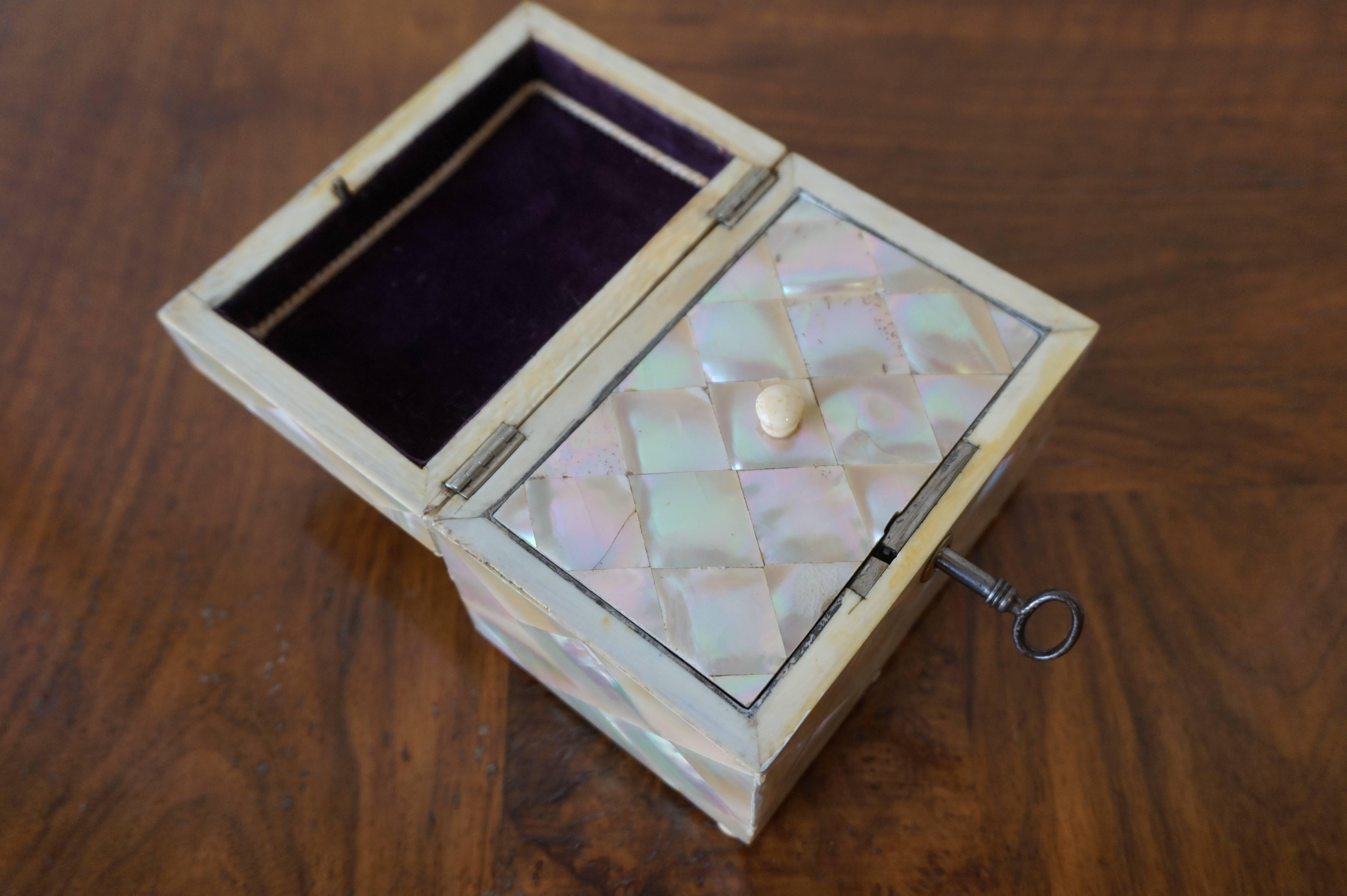 European Antique Mother-of-Pearl Tea Caddy Box with Silver Lock & Hinges and Bone Feet